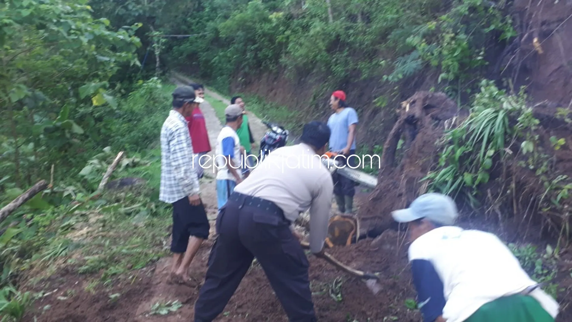 Diguyur Hujan Deras, Jalan Desa Serag Tertutup Longsor Dan Pohon Tumbang