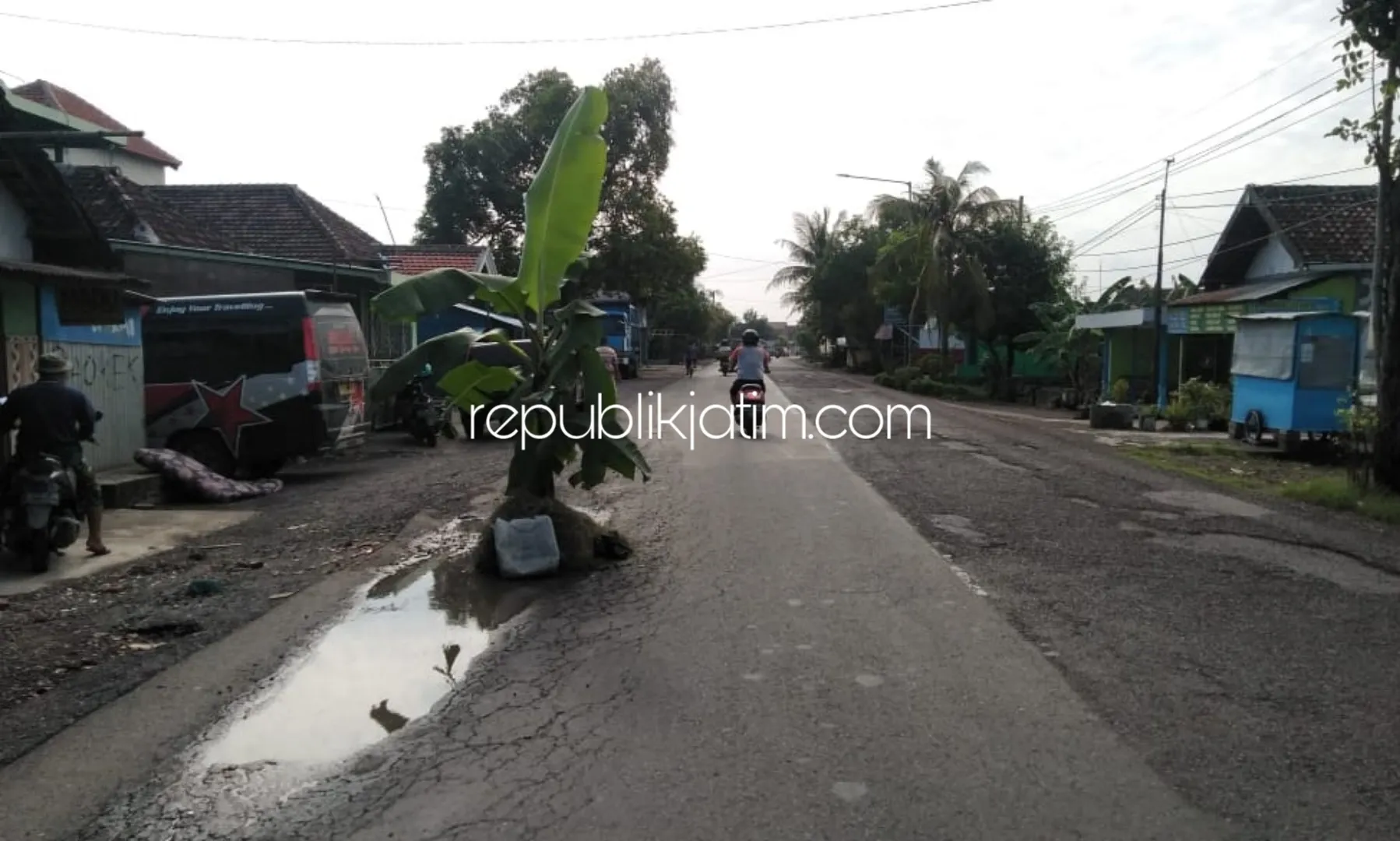 Tak Kunjung Diperbaiki, Warga Tanami Pisang Jalan Utama Porong - Krembung