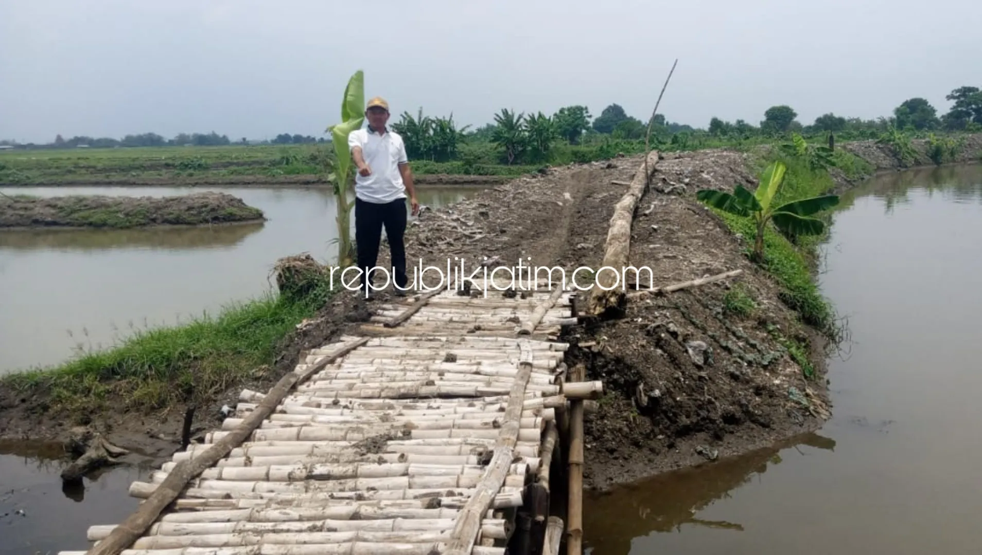 Tak Tersentuh Bantuan Pembangunan, Jembatan Bambu Topang Perekonomian Warga Kedungpandan