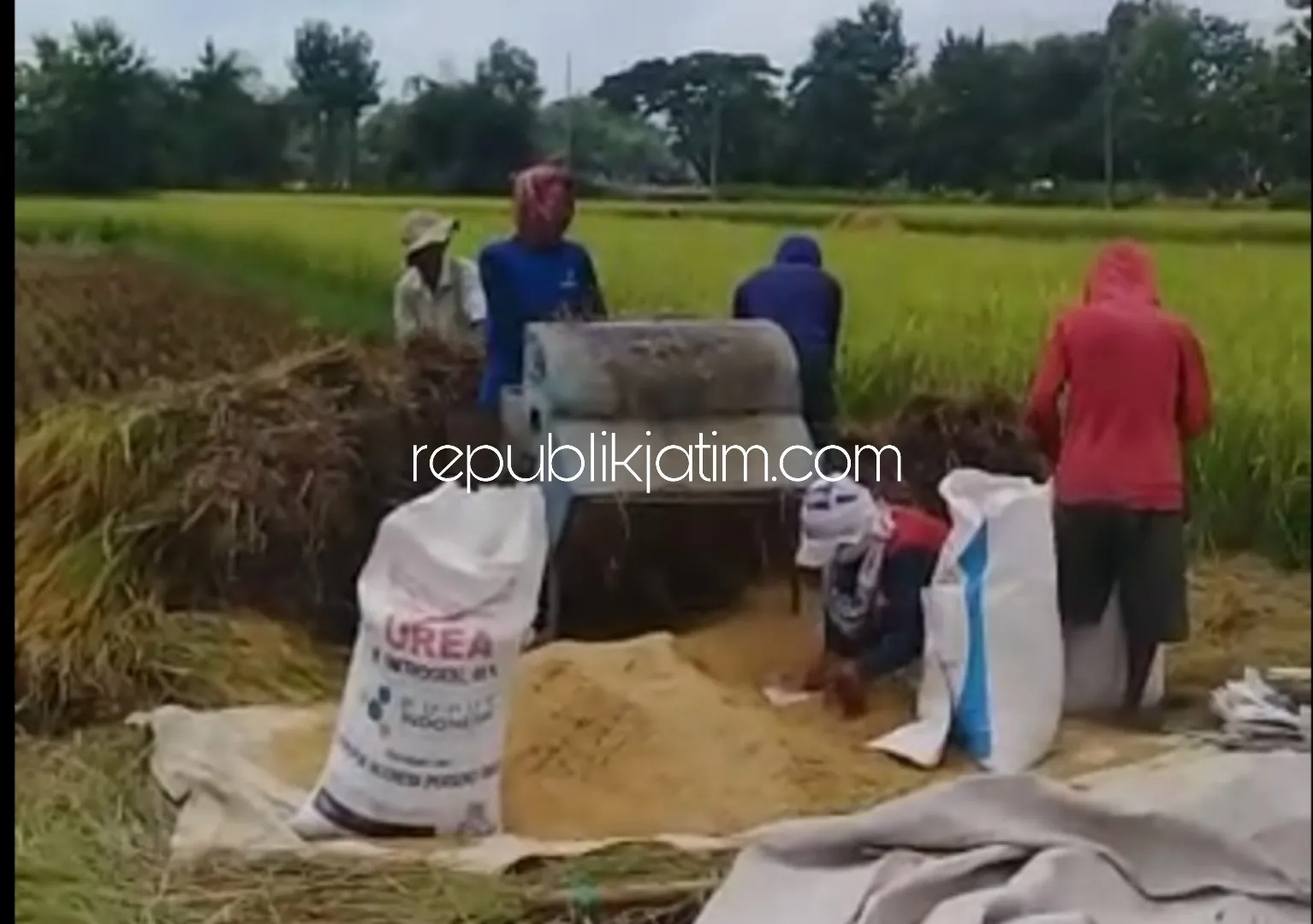 Ponorogo Surplus Beras di Tengah Pandemi Covid-19 Hingga Lebaran
