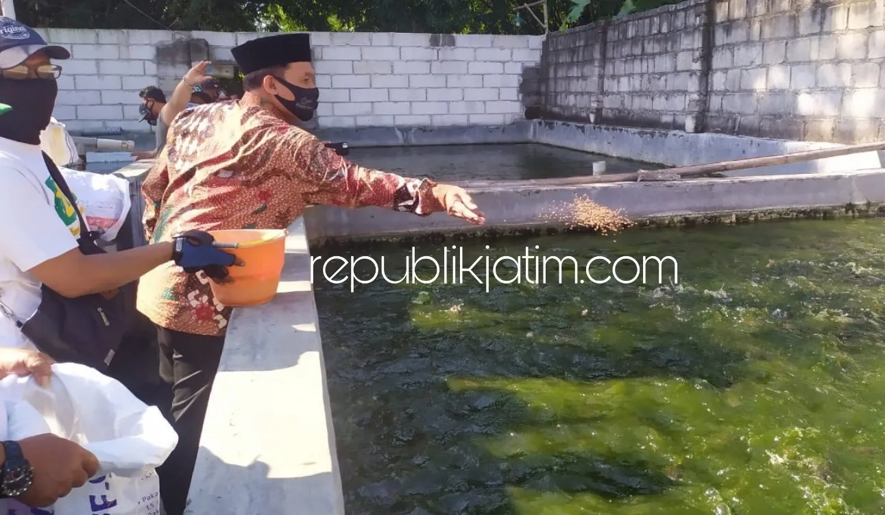 Menyehatkan Masyarakat, BHS Siap Kembangkan Sentra Budidaya Lele di Kecamatan Tarik