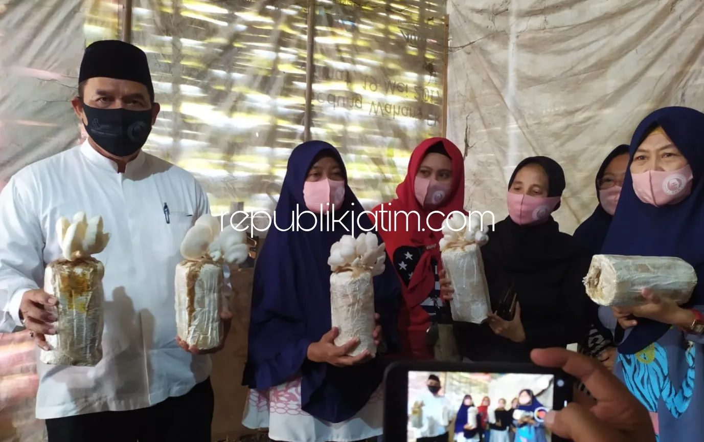Bantu Bibit dan Water Spray, BHS Siap Kembalikan Kejayaan Kampung Jamur Wadungasih