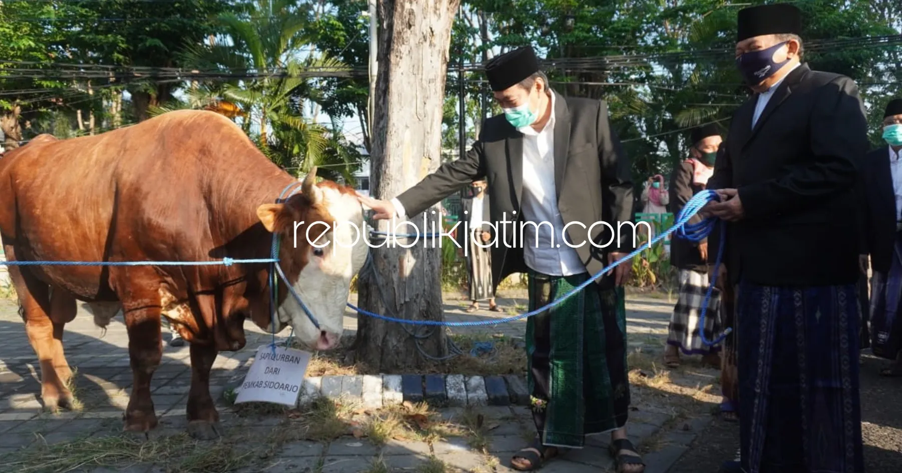 Sapi Berbobot 1,36 Ton Disembelih di Masjid Agung Sidoarjo