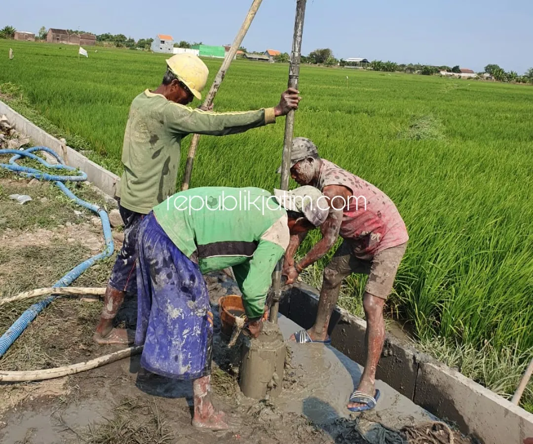 Bikin Sumur Bor Swadaya, Petani Jemirahan Kekurangan Pasokan Air Terancam Gagal Panen