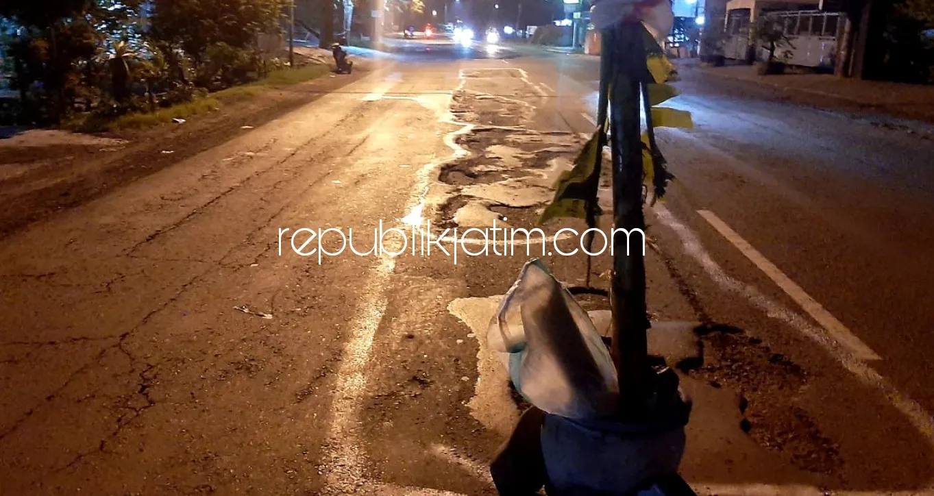 Tak Kunjung Ditambal, Warga Jabaran Balongbendo Tanam Pisang di JL Raya Surabaya - Mojokerto