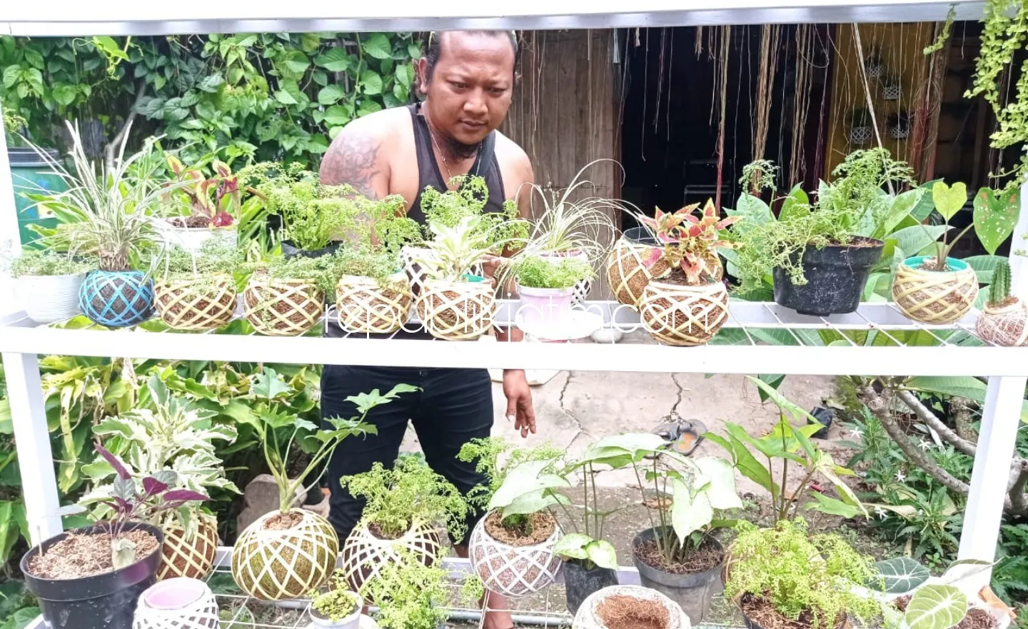 Sejak Pandemi Covid-19, Seniman Ponorogo Banting Setir Beralih Profesi Jadi Perajin Kokedama