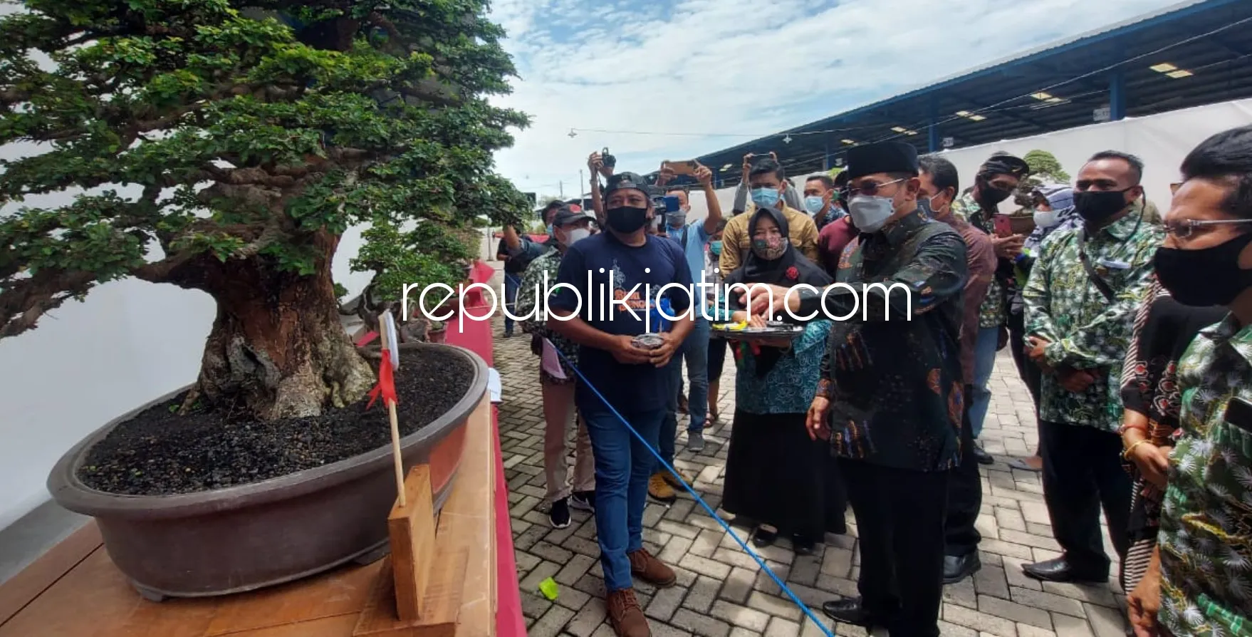 Bisnis Tanaman Bonsai Raup Puluhan Hingga Ratusan Juta Rupiah di Tengah Pandemi Covid-19