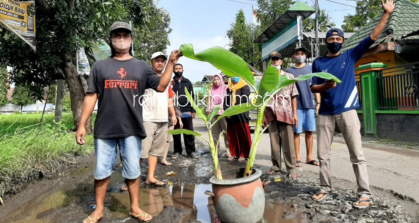 Jalan Rusak Parah Tak Segera Diperbaiki, Warga Kedungbocok Tarik Tanam Pisang