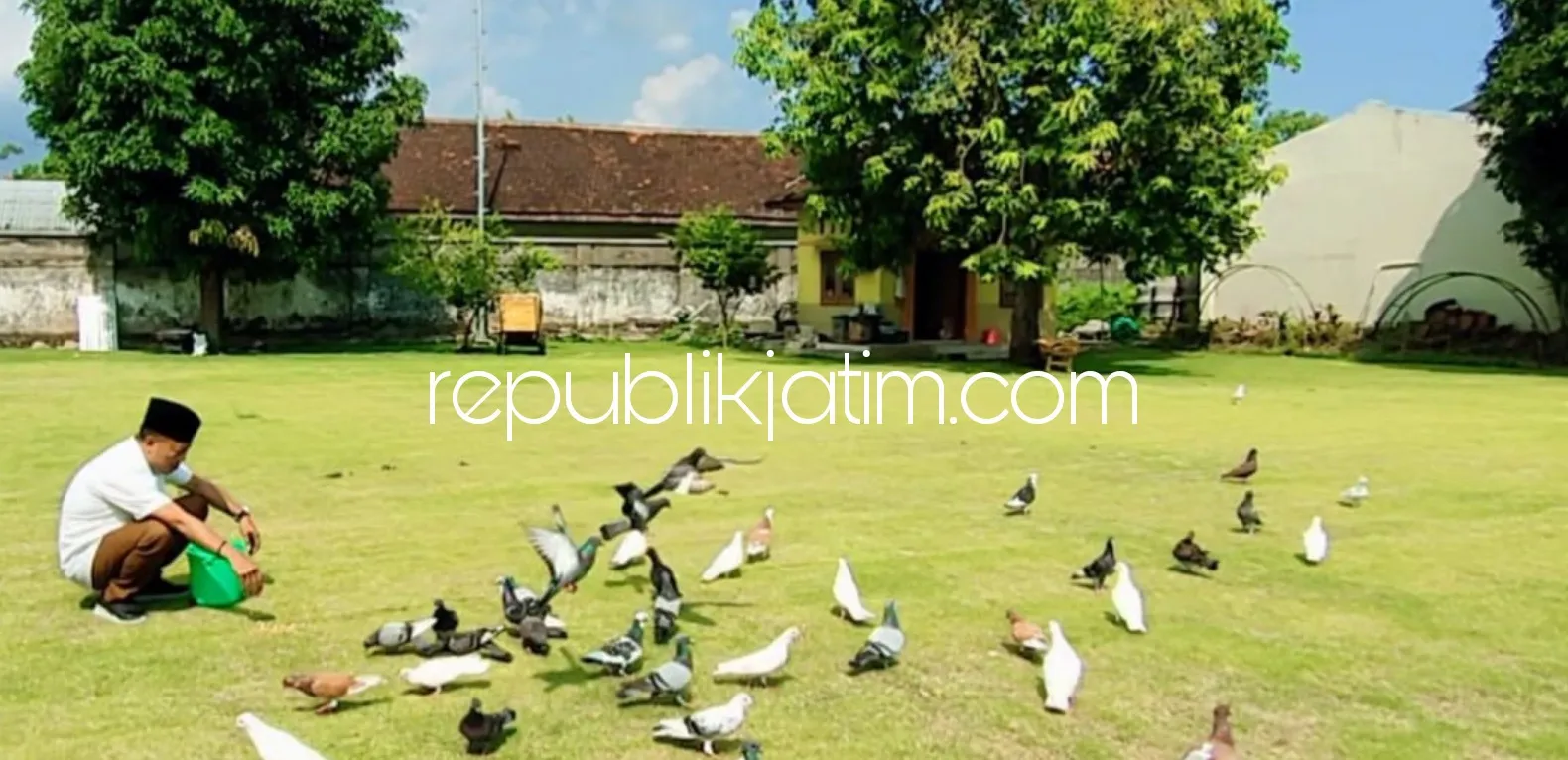 Hobi Pelihara Burung Merpati, Bupati Ponorogo Memiliki 500 Ekor di Pringgitan
