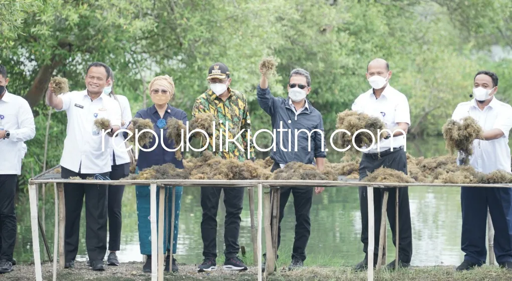 Menteri KKP dan Bupati Sidoarjo Panen, Sekaligus Canangkan Desa Kupang Jabon Jadi Kampung Budidaya Rumput Laut