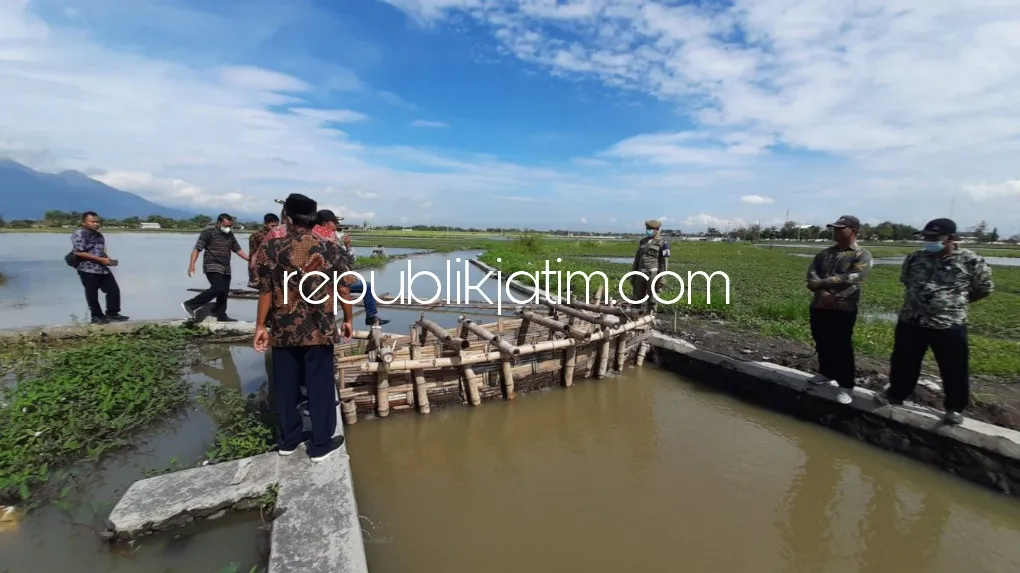 Wabup Sidoarjo Urai Polemik Saluran Irigasi Antar Desa di Porong Pemicu Lahan Pertanian Terendam Banjir
