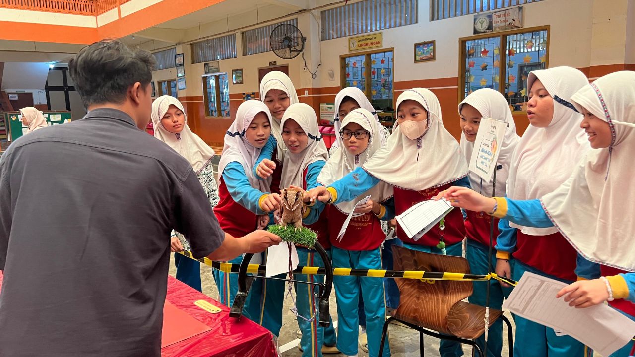 PERINGATAN - SD Al Muslim memperingati Hari Cinta Puspa dan Satwa Nasional dengan menyelenggarakan kegiatan mengenal hewan dan tumbuhan di halaman sekolah, Rabu (20/11/2024).