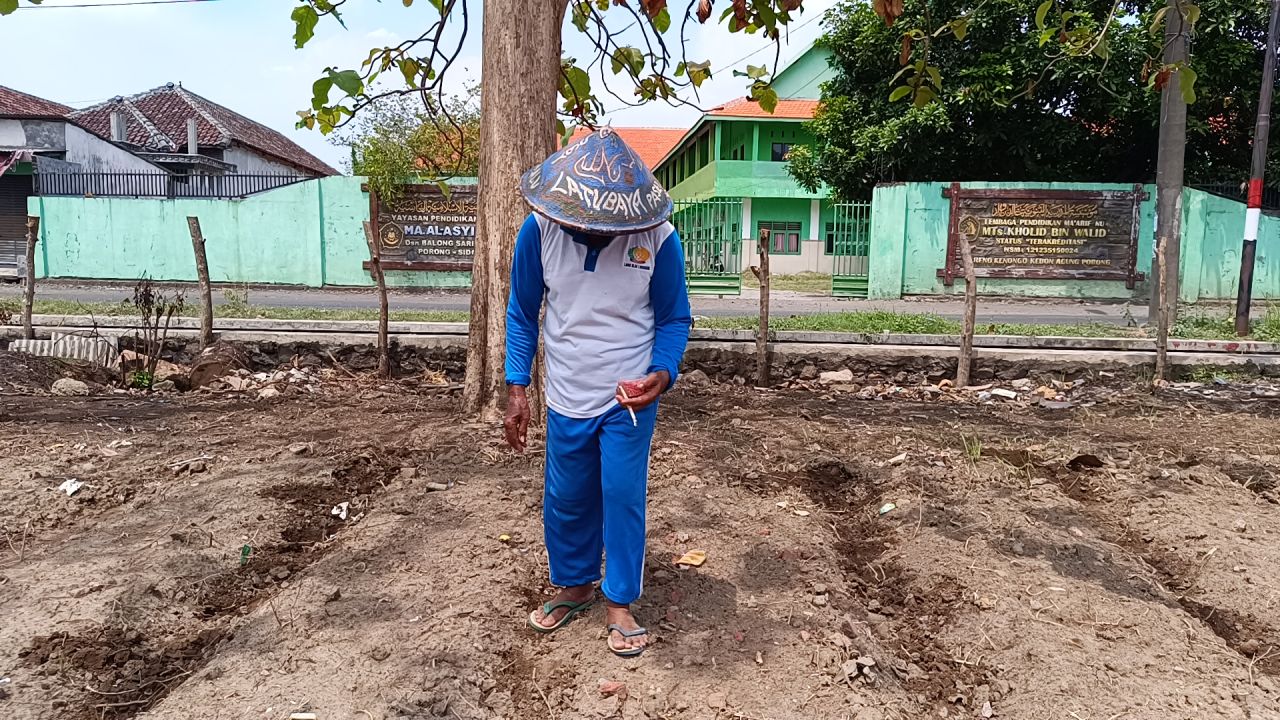 TANAM - Sejumlah WBP Lapas Kelas I Surabaya yang ada di Desa Kebonagung, Kecamatan Porong, Sidoarjo menanami jagung dan sayuran di lahan seluas 3.800 meter persegi yang sebelumnya tidak dimanfaatkan, Sabtu (30/11/2024) kemarin.