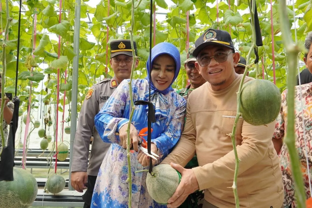 Manfaatkan Lahan Kosong, Wabup Sidoarjo Apresiasi Melon Hidroponik di Gempol Klutuk Tarik