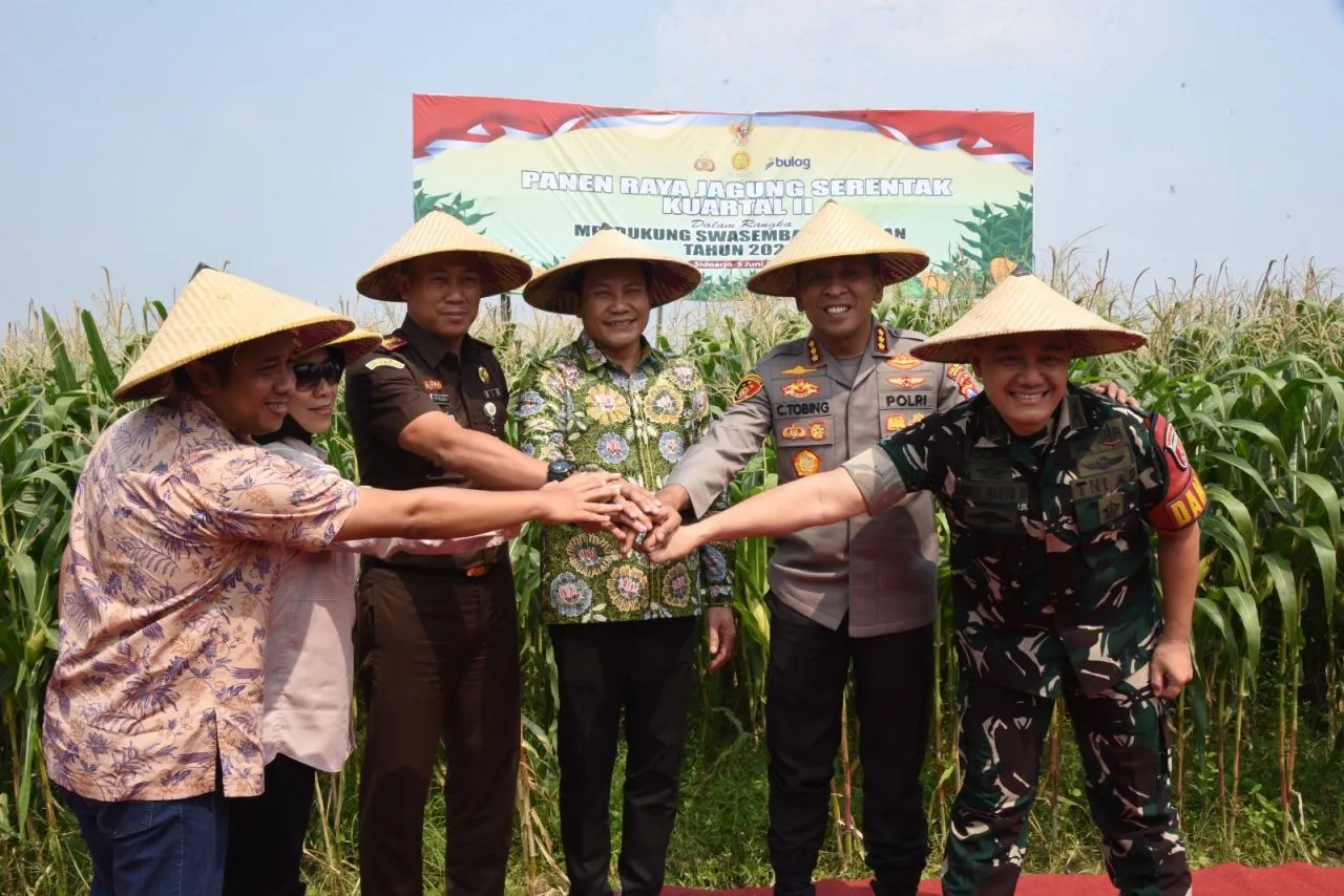 Dukung Swasembada Pangan Nasional 2025, Pemkab Sidoarjo Bantu 300 Ton Benih Jagung Sekaligus Panen Raya
