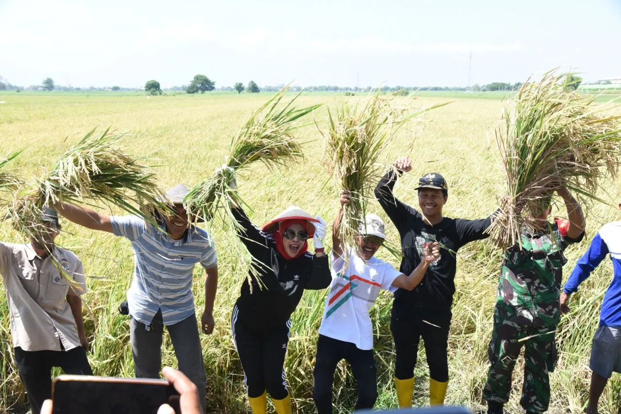 12 Hektar Sawah Nyaris Gagal Panen, Pemkab Sidoarjo Bantu Pompa Air Petani Bakung Temenggungan Panen Perdana Padi 6 Ton