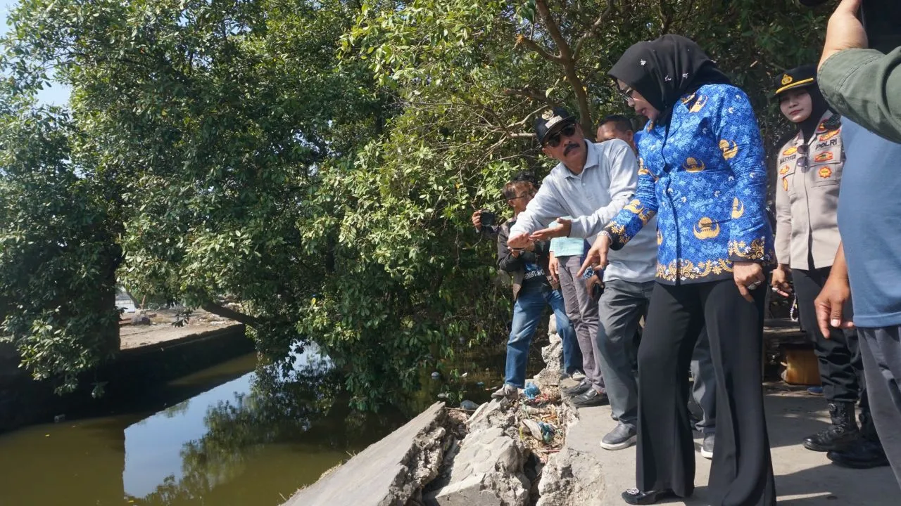 Jembatan Tambak Cemandi Sedati Putus Disidak Wabup Sidoarjo, Dinas PUBM Janji Bangunan Yang Lebih Baik Secepatnya
