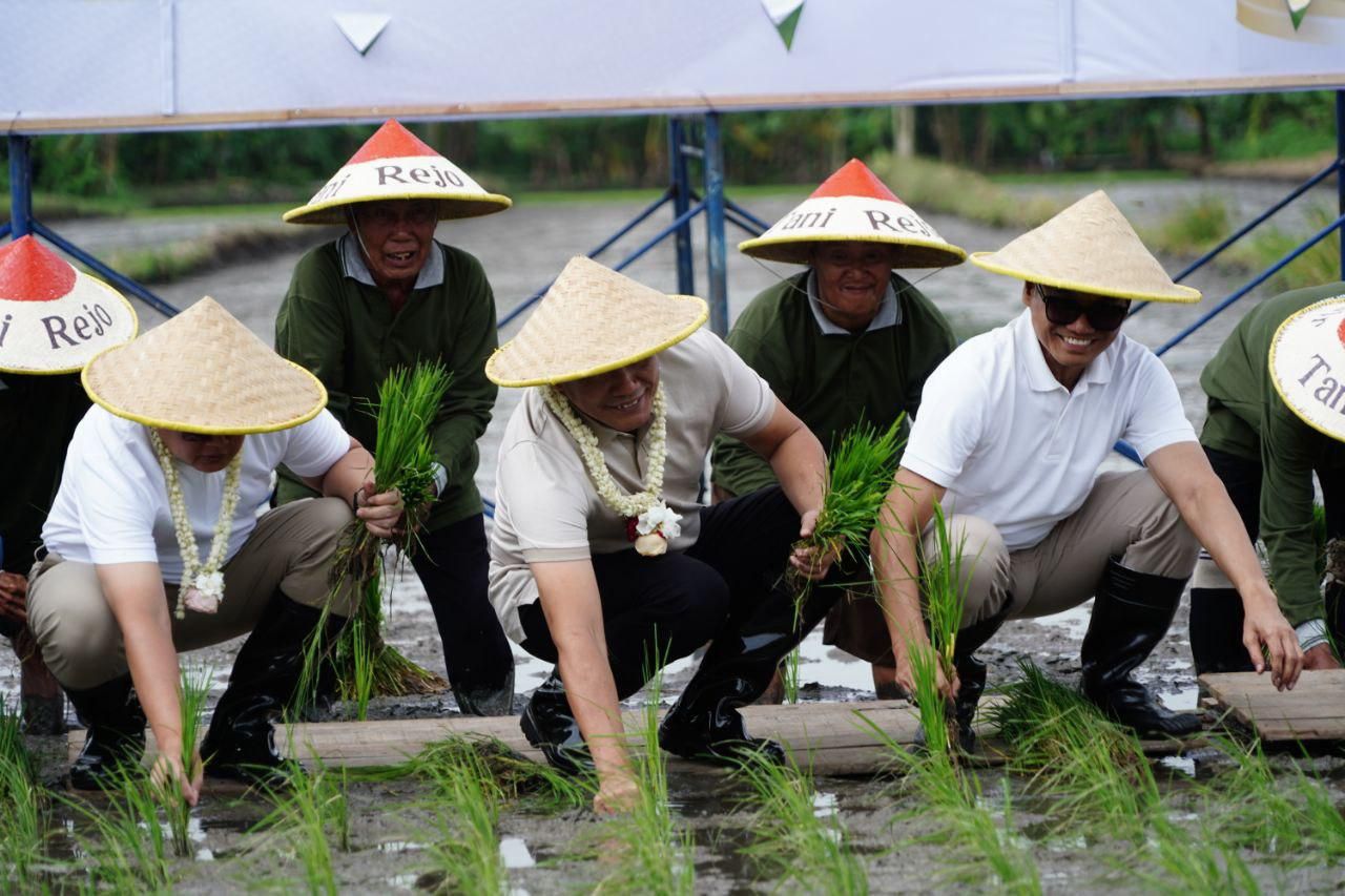 TANAM - Program menanam padi bersama tanda contract farming (kerja sama) antar daerah sebagai langkah mendukung program ketahanan pangan DKI Jakarta dimulai dengan menanam bersama di lahan seluas 800 hektar di Desa Sidorejo, Kecamatan Krian, Sabtu (01/02/