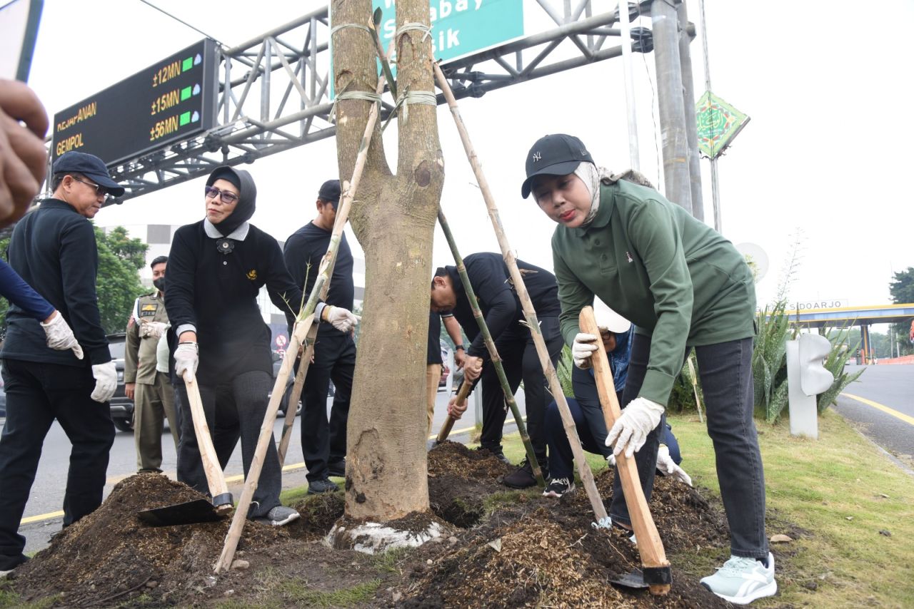 TANAM - Dua pohon pule ditanam di Taman Gerbang Tol Sidoarjo sebagai bagian dari gerakan Jihad Rawat Taman yang digaungkan Pemkab Sidoarjo, Jumat (28/02/2025).