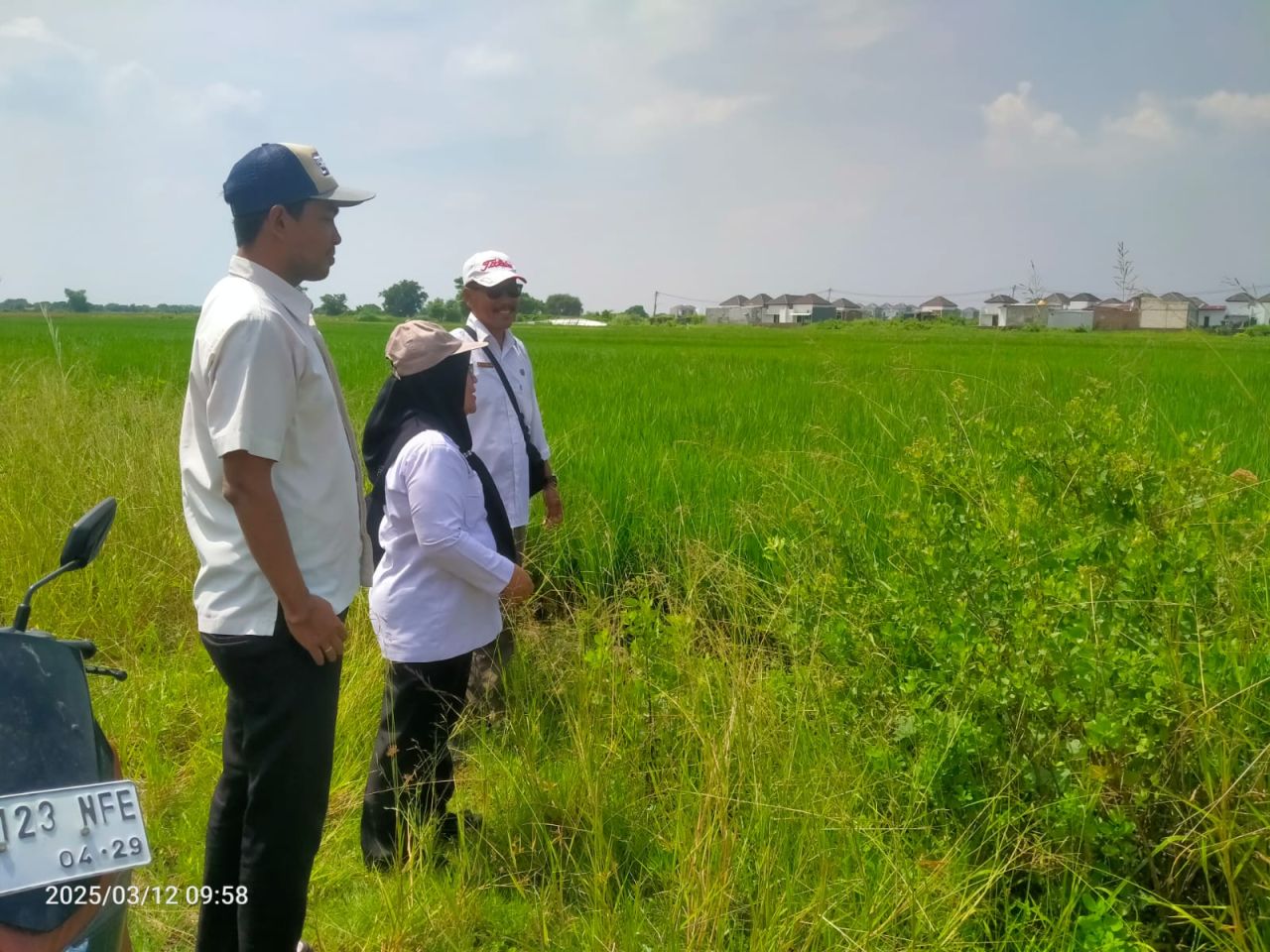 KURASI - Balai Harta Peninggalan (BHP) Surabaya mulai memproses penjelasan awal lelang aset pailit PT Indo Tata Graha dengan mengecek dua obyek lelang di Desa Damarsi, Kecamatan Buduran, Sidoarjo, Rabu (12/03/2025).