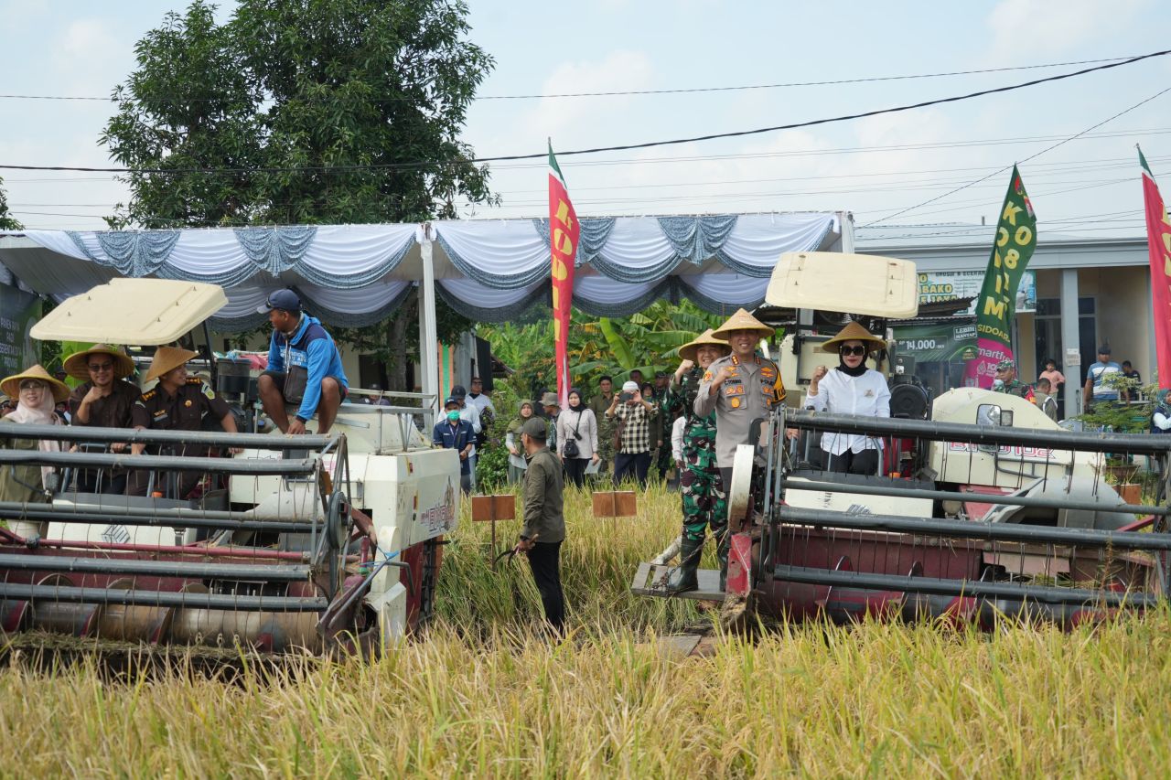 PANEN RAYA - Wabup Sidoarjo Mimik Idayana memimpin Panen Raya Padi Serentak di 14 Provinsi bersama Presiden RI, Prabowo Subianto di Desa Kemuning, Kecamatan Tarik, Sidoarjo, Senin (07/04/2025).