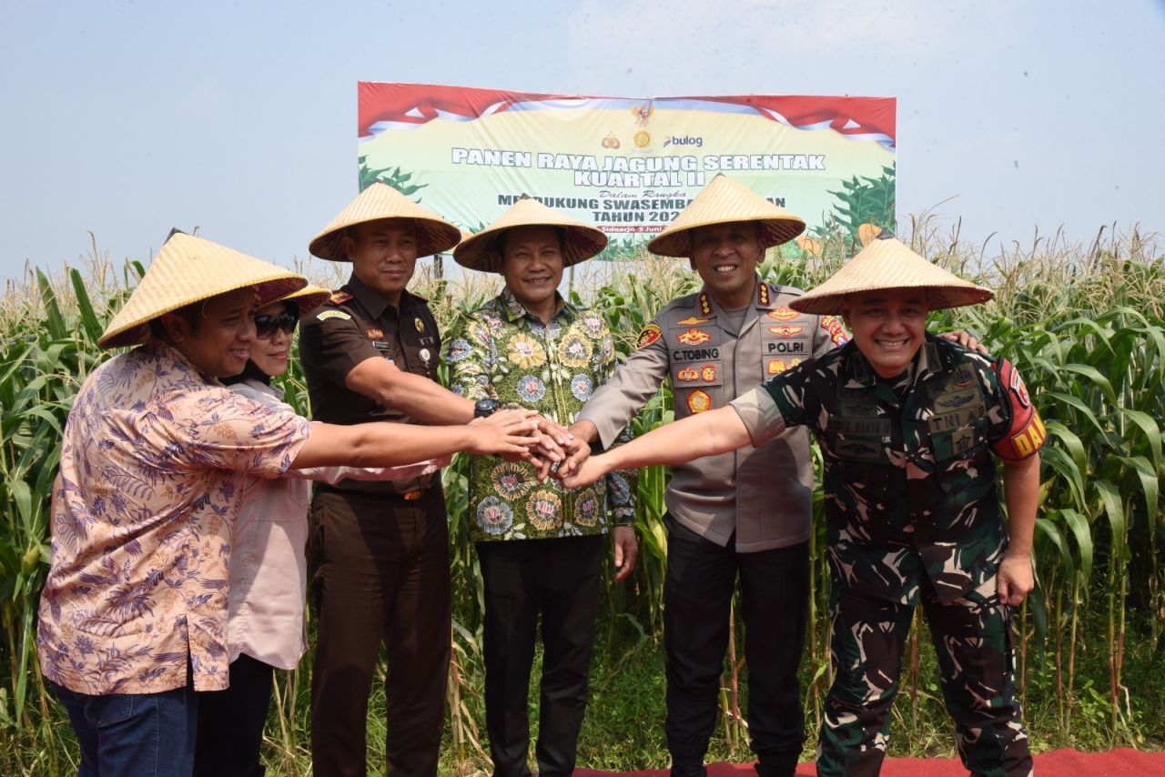PANEN - Bupati Sidoarjo Subandi, Kapolresta Kombes Christian Tobing, Dandim 0816 Letkol Inf Dedyk Wahyu Widodo, Kepala Kejari Roy Rovalino Herudiansyah dan Wakil Ketua DPRD Kayan panen raya jagung di Desa Pangkemiri, Kecamatan Tulangan, Kamis (05/06/2025)