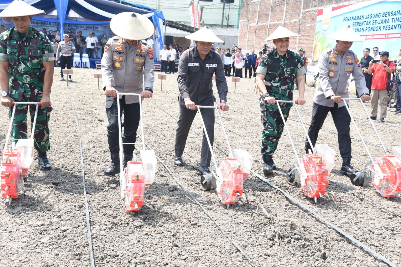 TANAM - Bupati Sidoarjo Subandi, Kapolresta Kombes Pol Christian Tobing dan Dandim 0816 Deddy menanam jagung bersama santri serentak se Jatim di lahan Pondok Pesantren Bumi Shalawat Desa Lebo, Kecamatan Sidoarjo, Rabu (06/08/2025).