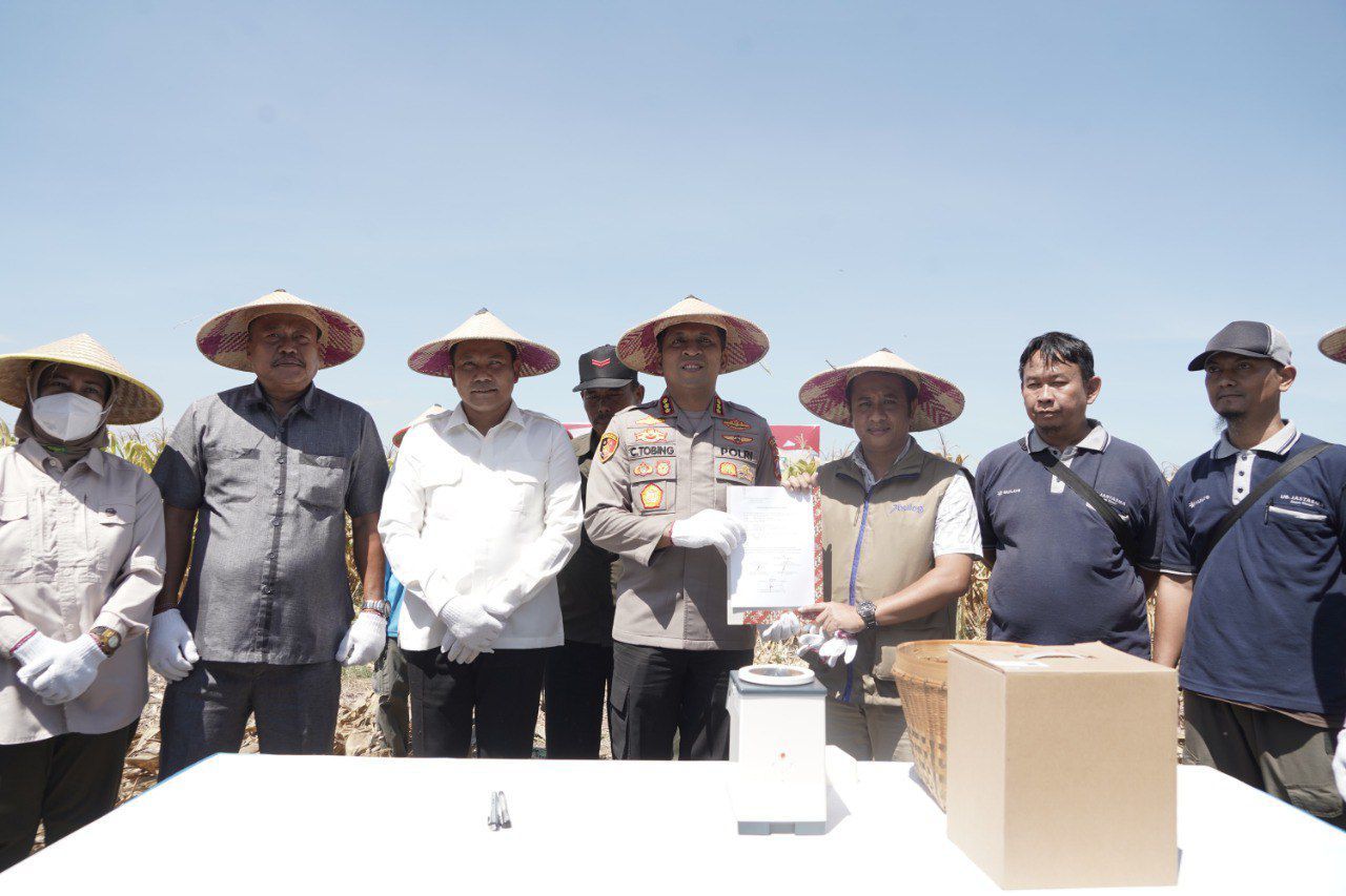 PANEN - Bupati Sidoarjo Subandi dan Kapolresta Sidoarjo Kombes Pol Christian Tobing memimpin Panen Raya Jagung Serentak Kuartal III Tahun 2025 yang dipusatkan di lahan pertanian Desa Bakung Temenggungan, Kecamatan Balongbendo, Sidoarjo Sabtu (27/09/2025).