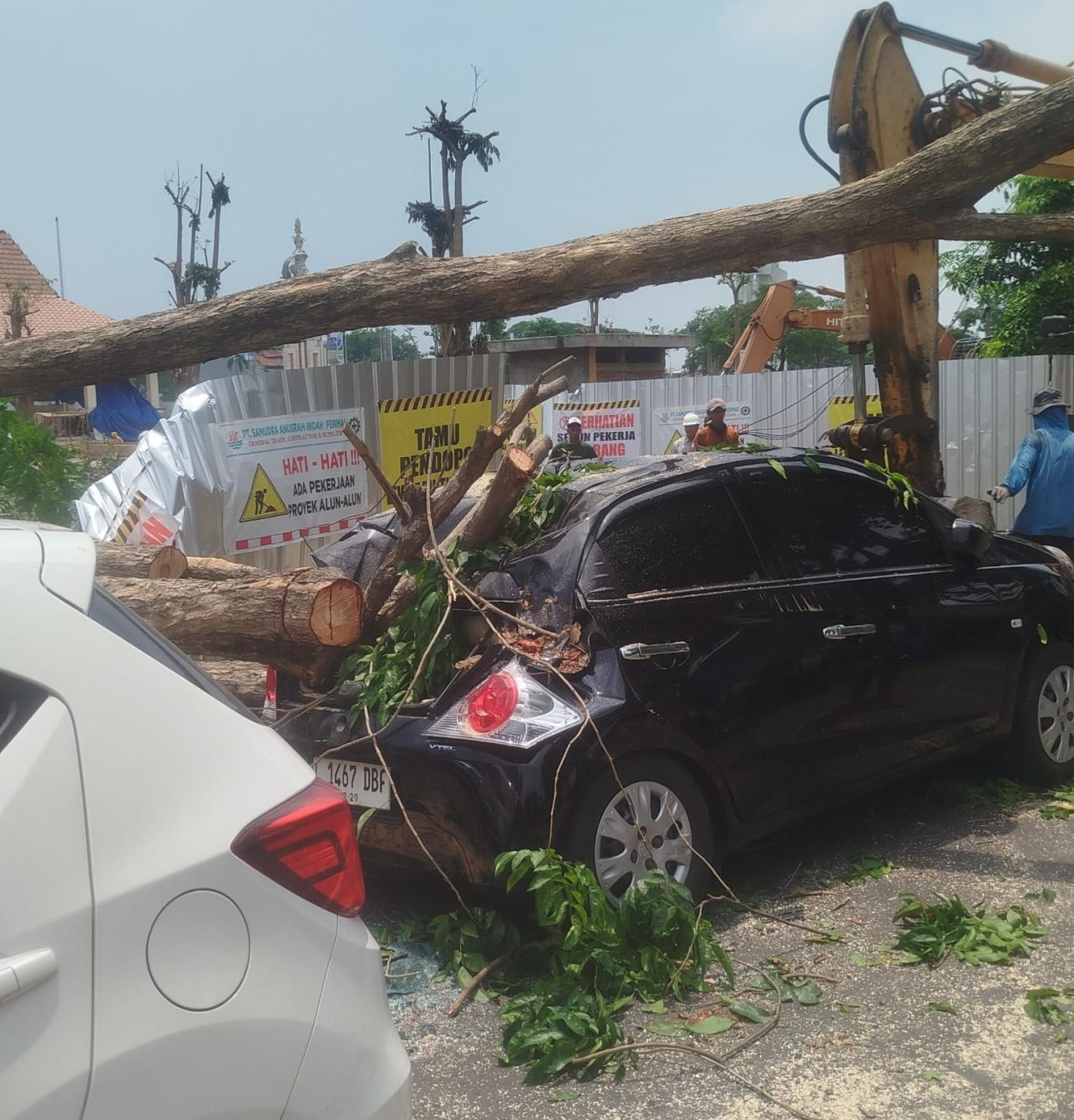 TERTIMPA - Kondisi mobil Honda Brio yang tertimpa pohon saat ditebang untuk revitalisasi Proyek Alun-alun Sidoarjo senilai Rp 24,6 miliar makan korban dengan menimpah satu unit mobil dan empat motor, Rabu (29/10/2025).