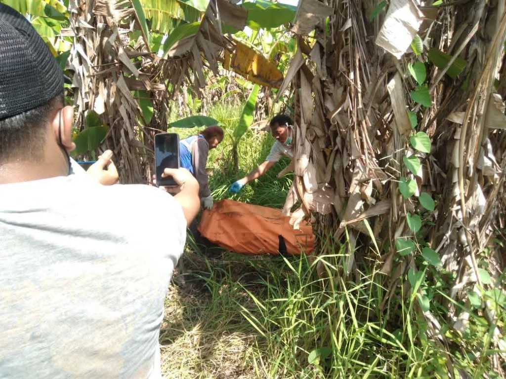 EVAKUASI - Pria tanpa identitas ditemukan warga Dusun Wonogiri, Desa Wonoplintahan, Kecamatan Prambon, Sidoarjo dalam kondisi tewas mengenaskan di area persawahan, tepat di bawah pohon pisang, Minggu (03/05/2026).