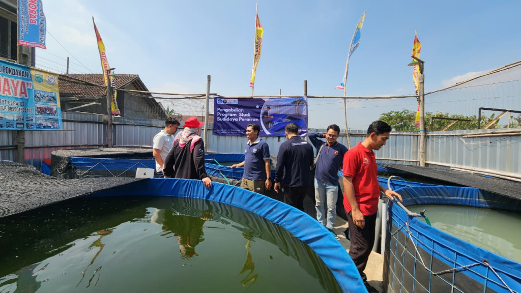 AIR - Tim Abdimas Program Studi Budidaya Perairan, Fakultas Perikanan dan Ilmu Kelautan Unibraw (FPIK UB) mendampingi Kelompok Pembudidaya Ikan (Pokdakan) Barokah Jaya Mangliayan, Pakis memantau kualitas air dan sampling biomassa ikan, Minggu (05/07/2026)