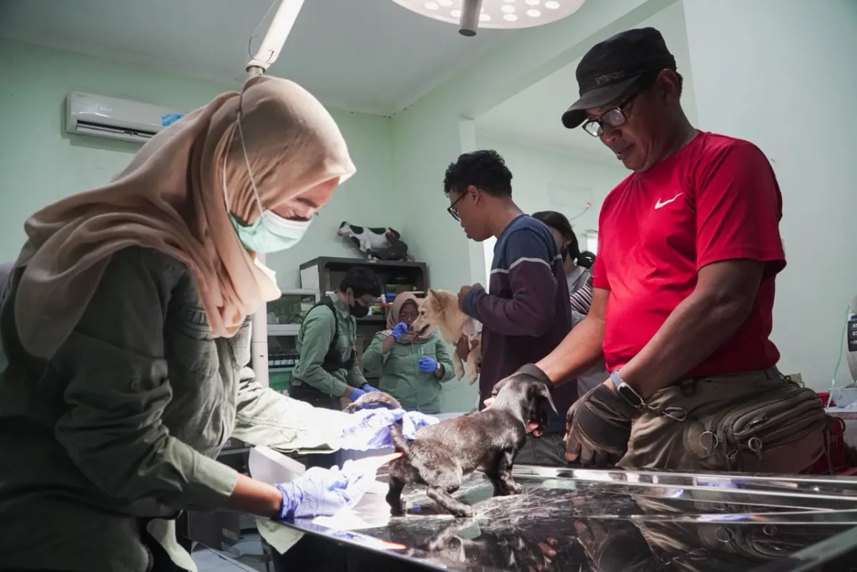 Baca juga : Cegah Zoonosis Sejak Dini, Dinas Pangan dan Pertanian Sidoarjo Sediakan Vaksinasi Rabies Hewan Gratis