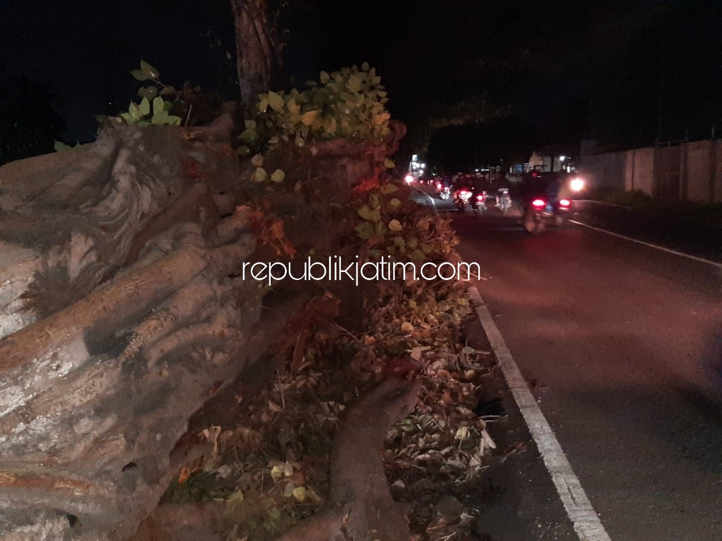 DIBIARKAN - Bonggol Pohon Ambar yang ambruk dan menutup JL Raya Surabaya - Mojokerto di Desa Bakungtemenggungan, Kecamatan Balongbendo, Sidoarjo dibiarkan dan PJU masih padam dikeluhkan warga, Jumat (10/01/2020) malam.