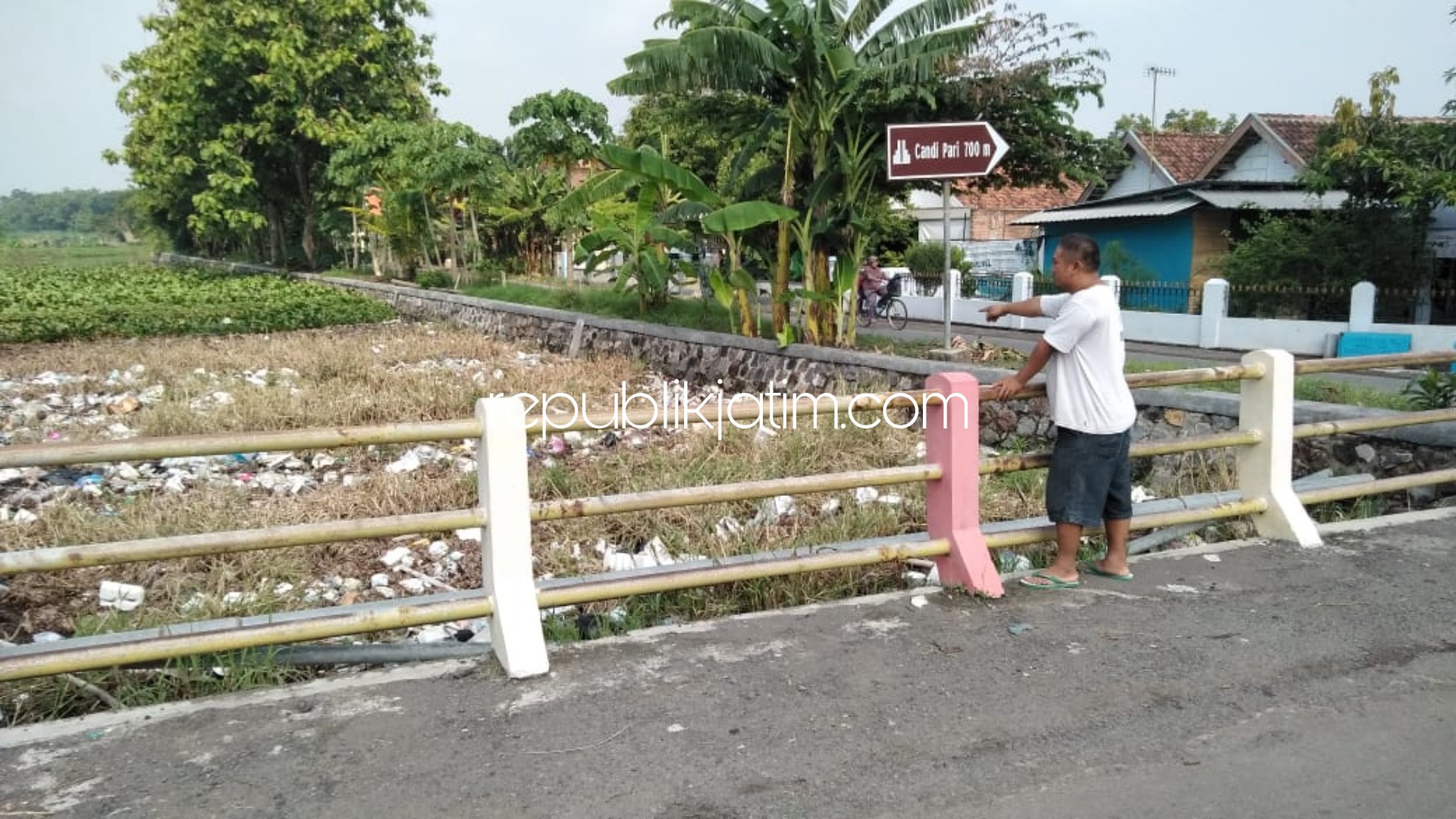 PENYUMBAT - Budi warga Desa Candipari, Kecamatan Porong, Sidoarjo menunjukkan tumpukan enceng gondok dan sampah yang menyumbat aliran sungai, Selasa (21/01/2020).