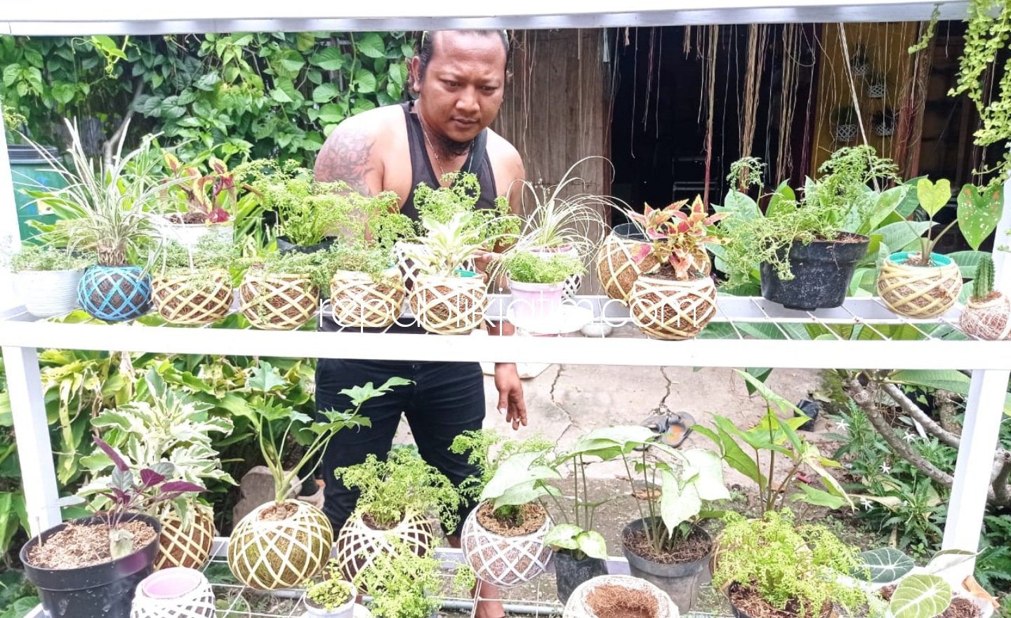 KOKEDAMA - Perajin Kokedama, Gatot (35) saat menunjukan hasil karyanya yang harganya masih merakyat untuk menopang grup musik selama pandemi Covid-19, Minggu (24/01/2021).