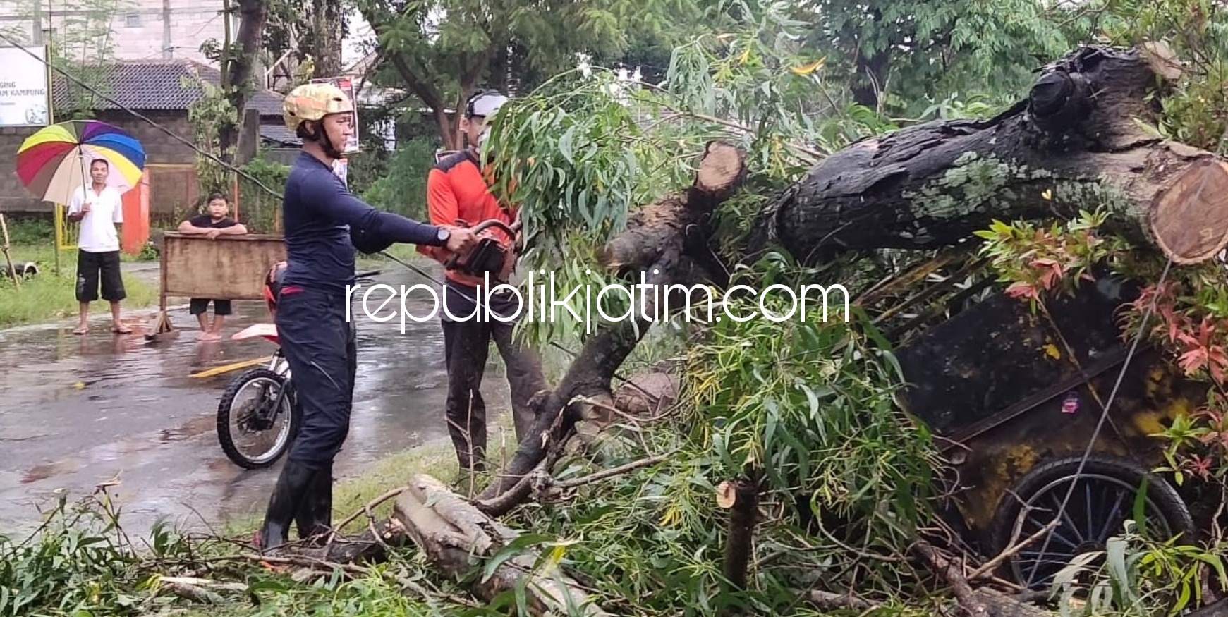 EVAKUASI - Tim BPBD Pemkab Ponorogo saat mengevakuasi pohon tumbang yang melintang di JL Letjen S Parman, Kelurahan Keniten, Kecamatan/Kabupaten Ponorogo, Selasa (02/02/2021).