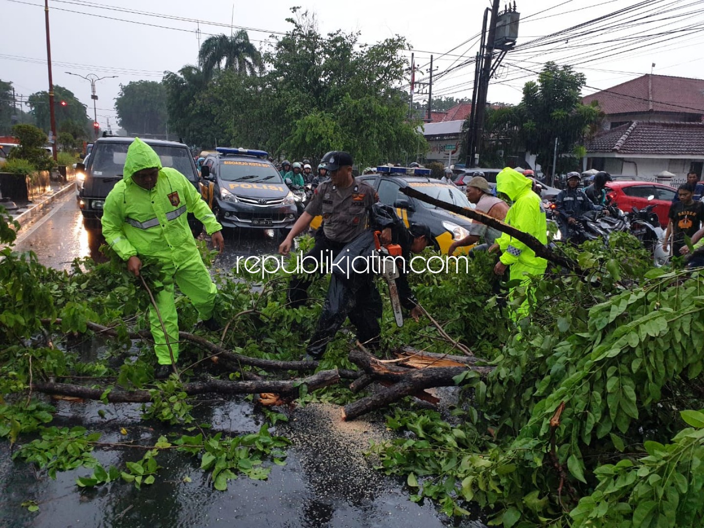 EVAKUASI - Sejumlah petugas mengevakuasi pohon tumbang yang ada di JL A Yani dan JL Kombes Pol M Duriyat yang menimpa dua pengendara motor dan satu mobil hingga 4 korban dilarikan ke RSUD Sidoarjo, Senin (03/02/2020) sore.