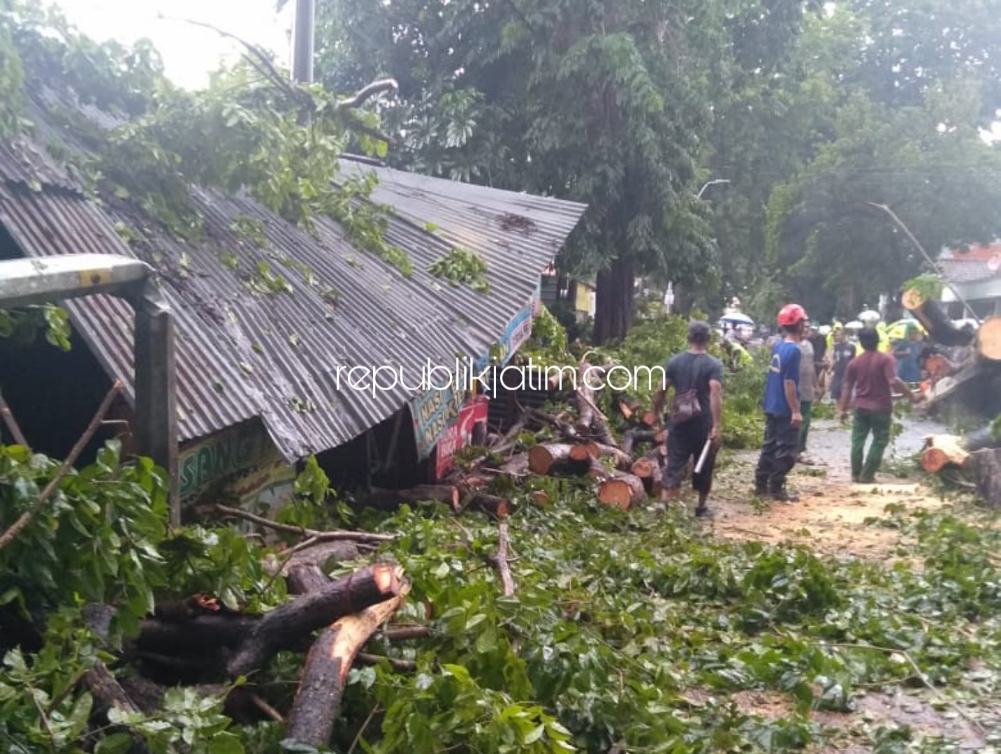 EVAKUASI - Sejumlah petugas mengevakuasi pohon tumbang yang ada di JL Kombes Pol M Duriyat yang menimpa empat pengendara motor dan satu mobil hingga 4 korban dilarikan ke RSUD Sidoarjo, Senin (03/02/2020) sore.