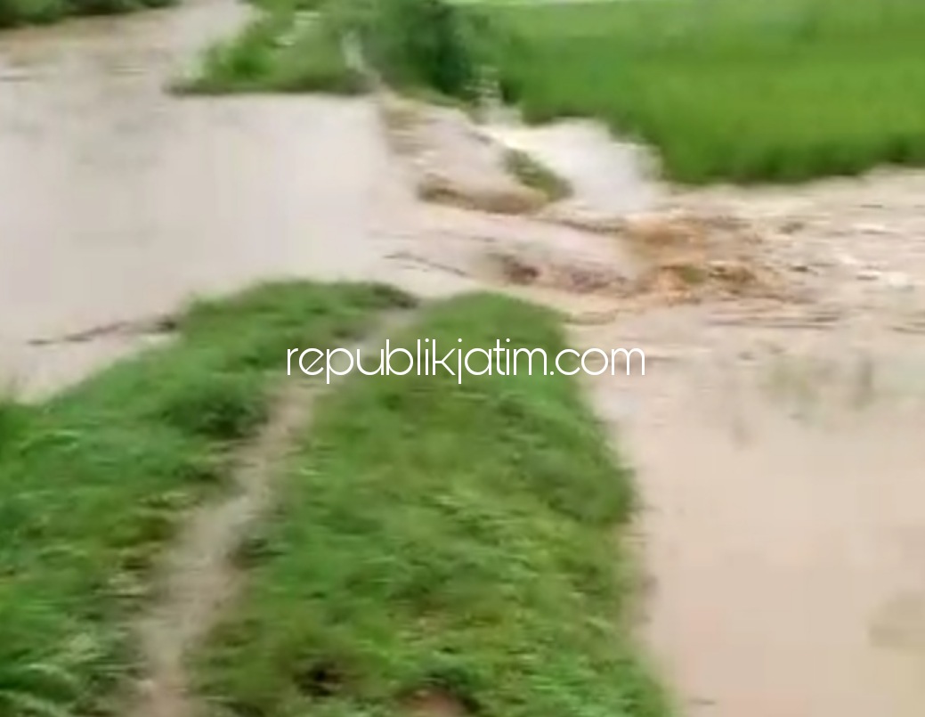 BANJIR - Banjir akibat luapan Sungai Suki membuat wilayah persawahan Desa Bediwetan, Kecamatan Bungkal, Ponorogo kebanjiran mirip telaga, Kamis (04/02/2021).