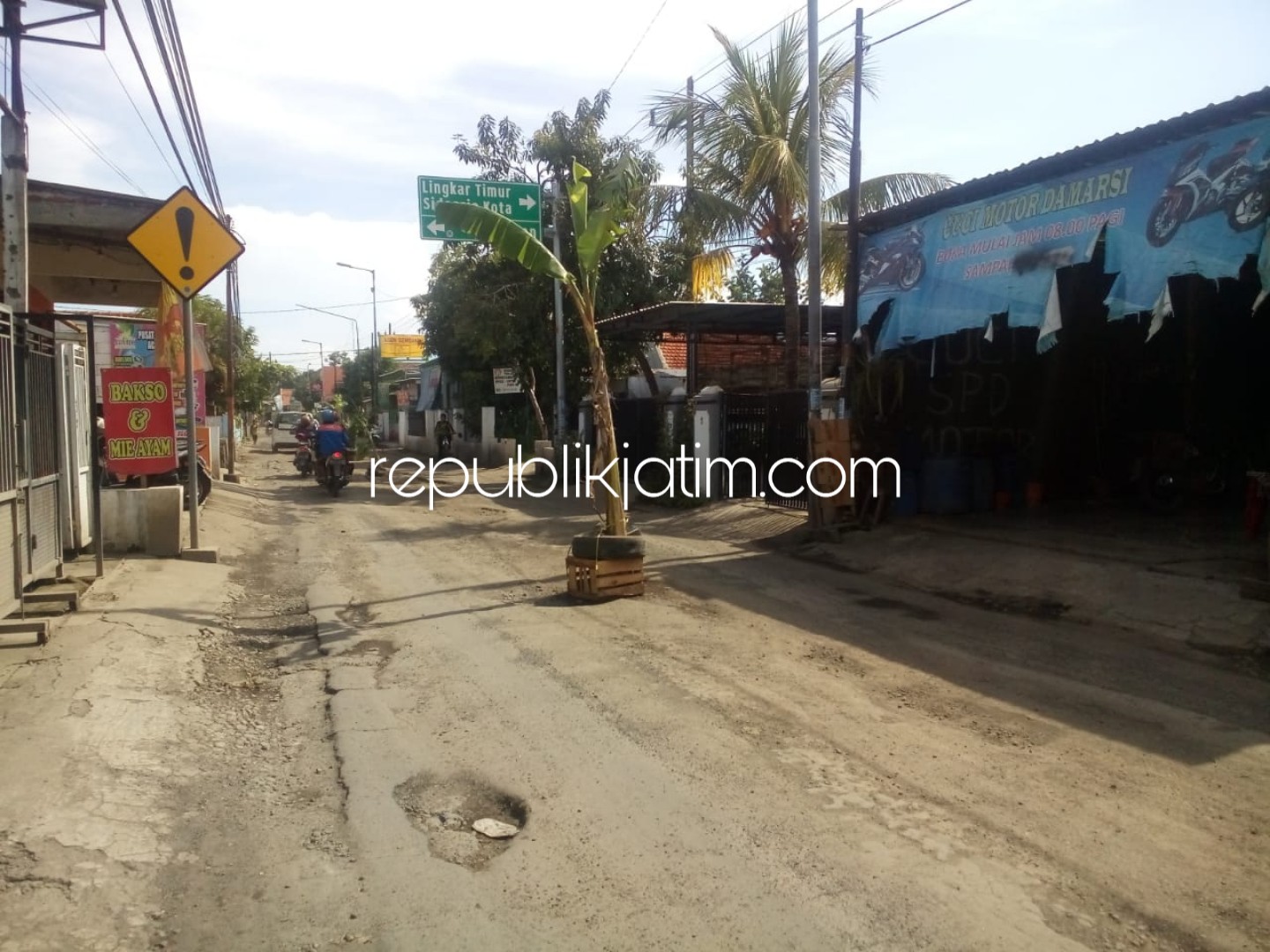 TANAM PISANG - Sejumlah pohon pisang ditanam warga Desa Damarsi, Kecamatan Buduran, Sidoarjo agar jalan rusak dan dipenuhi lubang itu segera diperbaiki Pemkab Sidoarjo, Senin (25/02/2019).