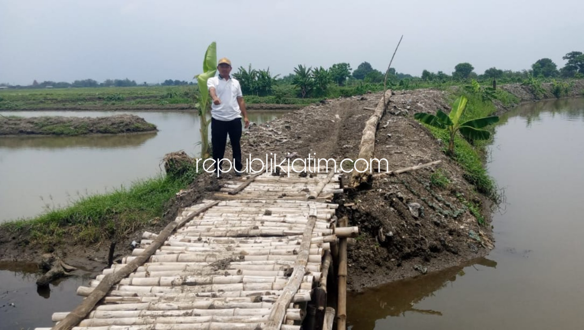 JEMBATAN - Kepala Dusun/Desa Kedungpandan, Kecamatan Jabon, Sidoarjo Kusnali menujukkan lokasi jembatan yang terbuat dari bambu di tengah area tambak yang harus diganti dengan bangunan jembatan permanen, Senin (09/03/2020).