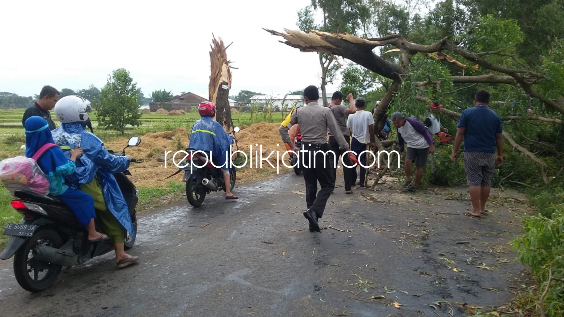 TUTUP JALAN - JL Raya Jetis - Ngasinan tertutup pohon patah disambar petir, Kamis (28/03/2019). 