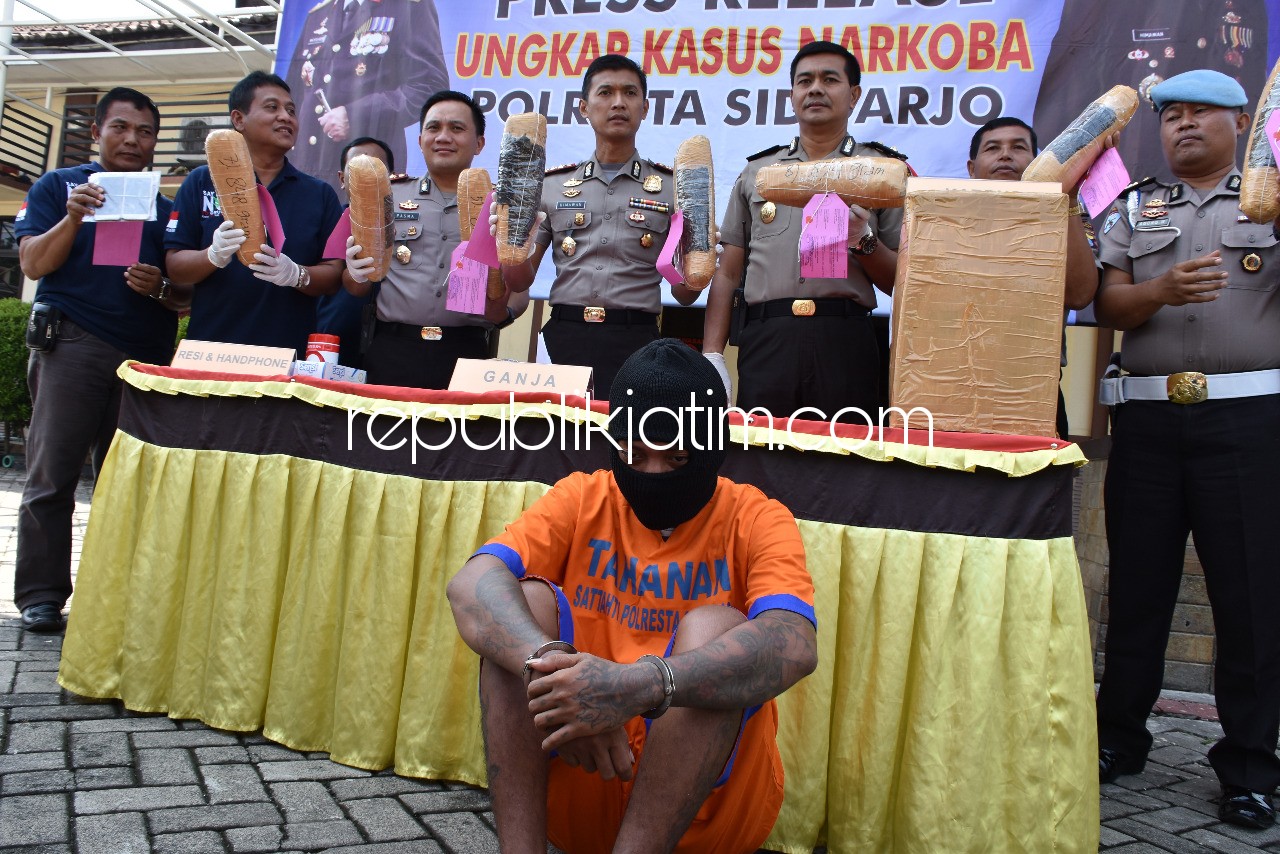 PENGEDAR GANJA - Kapolresta Sidoarjo, Kombes Pol Himawan Bayu Aji beserta jajarannya menunjukkan tersangka pengedar ganja, Ilman Barori (24) dan barang buktinya 8,5 kilogram ganja kering siap edar, Minggu (01/04/2018).