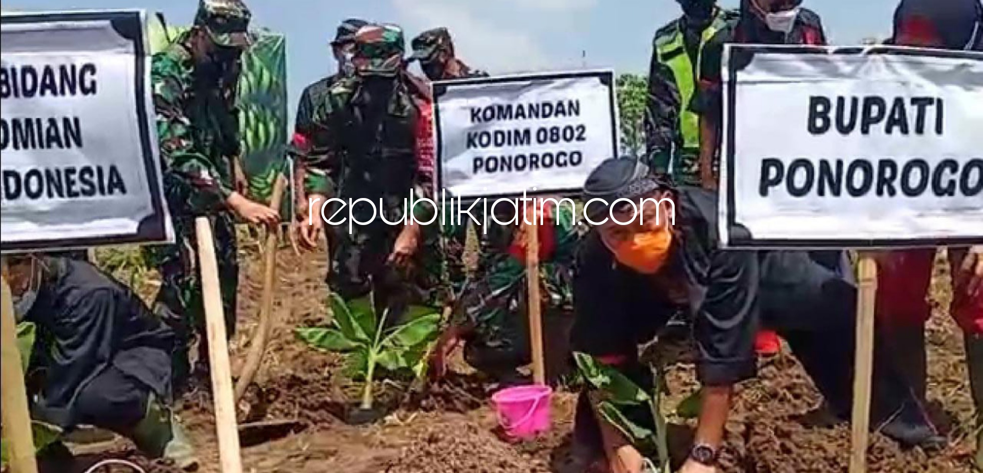 TANAM - Bupati Ponorogo, Sugiri Sancoko dan Kapolres Ponorogo, AKBP Mochammad Nur Azis menanam pisang Cavendish bersama Sesmenko RI, Susiwijono Moegiyarso saat peletakan batu pertama Gapoktan Ngabar, Siman, Ponorogo, Sabtu (03/04/2021).