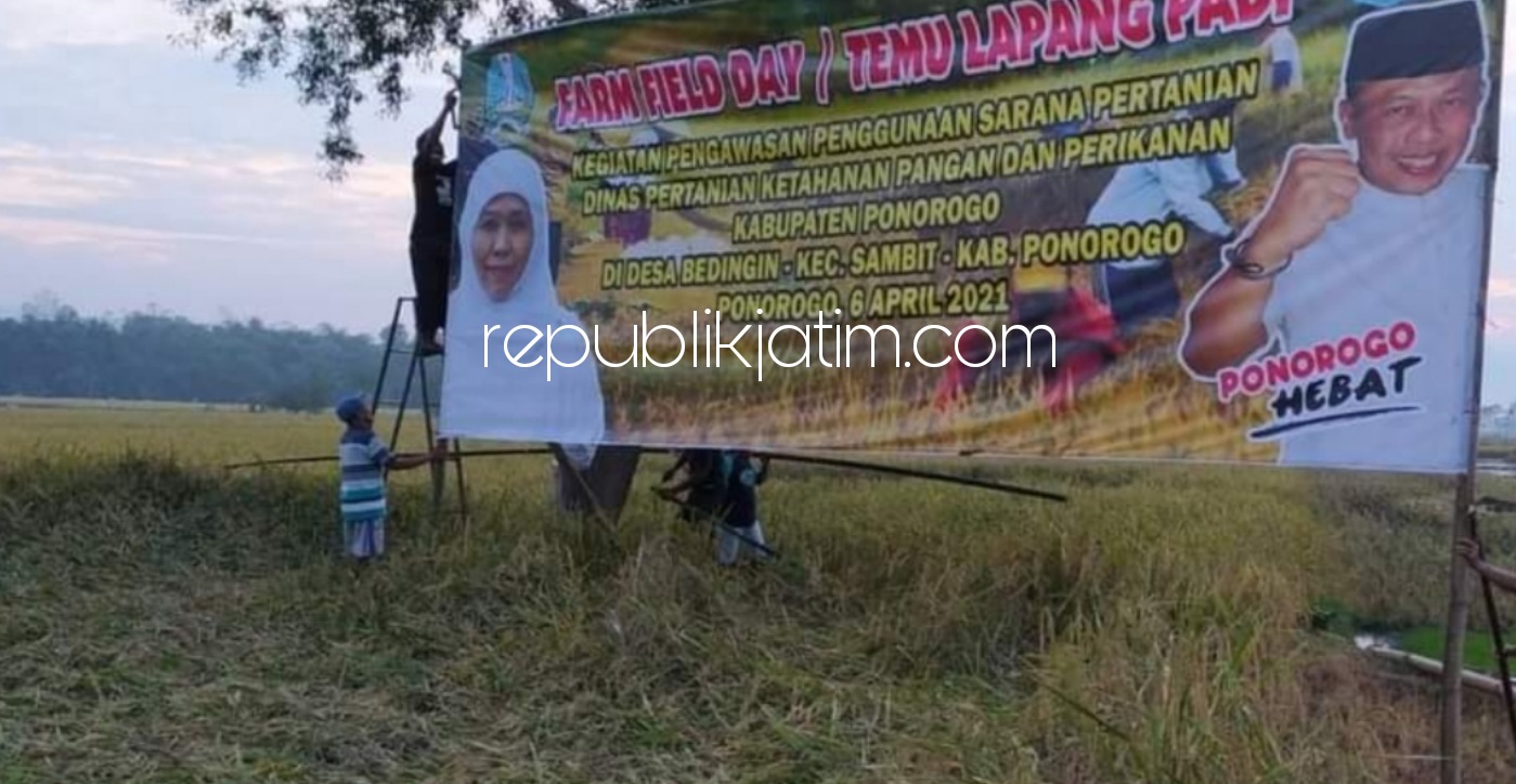 KUNJUNGAN - Spanduk kunjungan Gubernur Jatim yang hendak panen padi varietas unggul di Desa Bedingin, Kecamatan Sambit, Ponorogo sudah terpasang, Selasa (06/04/2021) pagi.