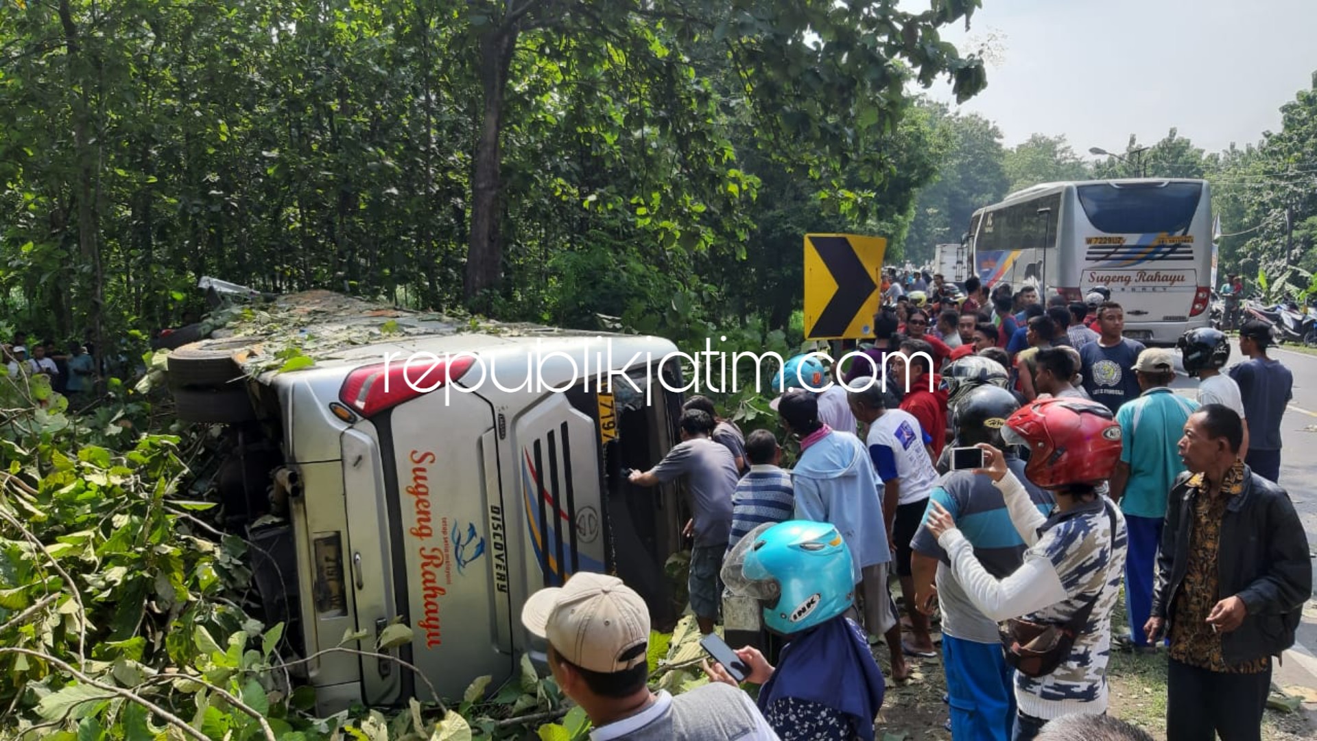TERGULING - Bus Sugeng Rahayu bernopol W 7197 UZ terguling ke hutan jati di JL Raya Ngawi - Mantingan Desa Banyubiru, Kecamatan Widodaren, Ngawi hingga menyebabkan 13 korban terluka, Selasa (09/04/2019).