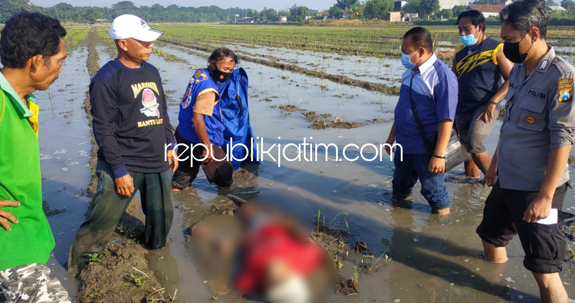 KORBAN - Seorang petani Bintoro warga asal Desa Kedungbocok, Kecamatan Tarik, Sidoarjo meninggal dunia di area persawahan setempat karena kecapekan, Senin (26/04/2021). 