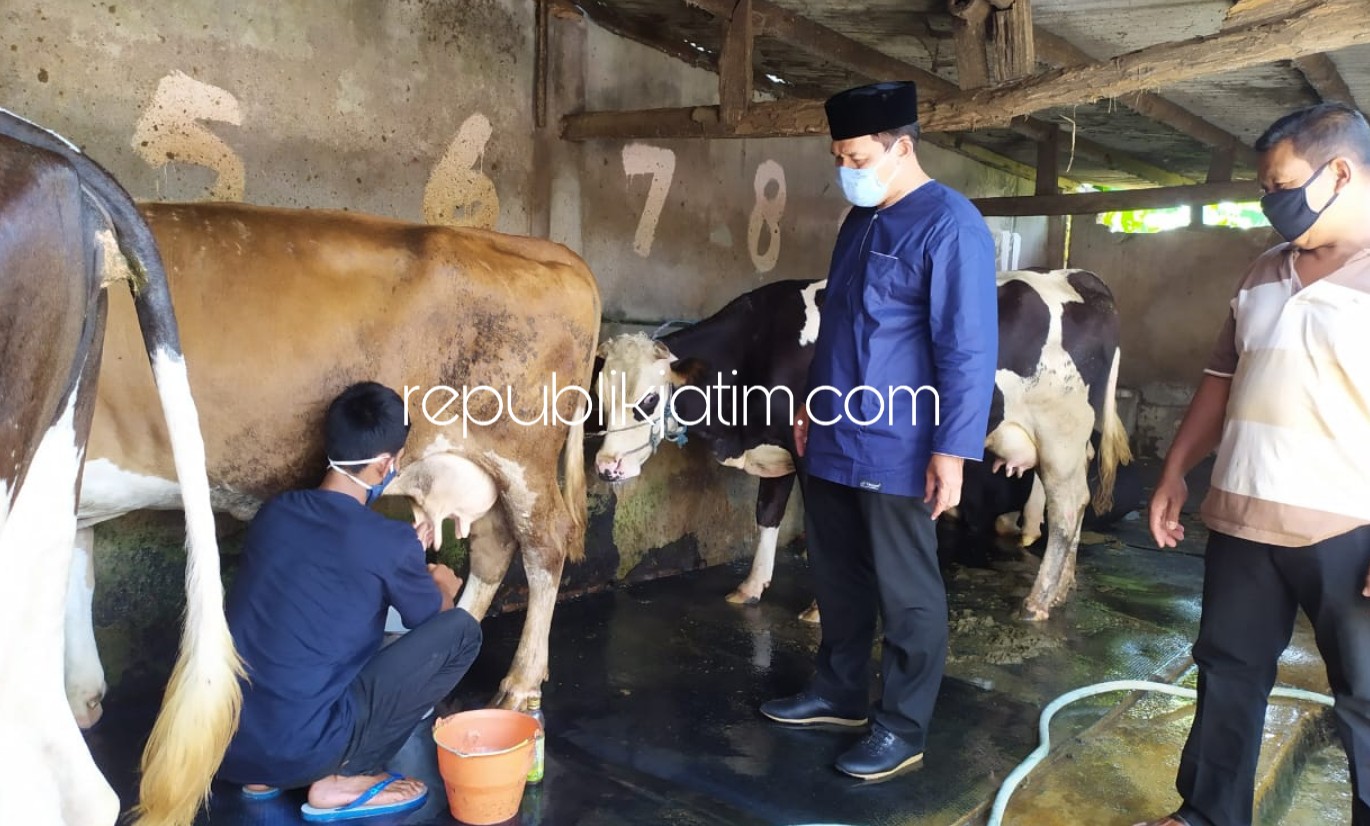 BANTUAN - Bacabup Bambang Haryo Soekartono (BHS) menyerahkan bantuan sembako untuk para juru perah susu sapi di perternakan milik Suryadi warga Desa Plaosan, Kecamatan Wonoayu, Sidoarjo, Jumat (15/05/2020).