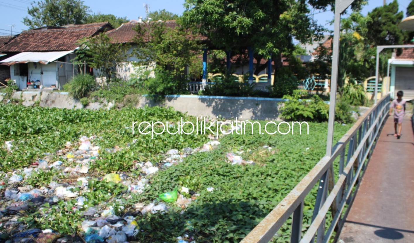 PENUH - Aliran Sungai di Desa Ngaban, Kecamatan Tanggulangin, Sidoarjo dipenuhi enceng gondok dan berbagai sampah lainnya hingga menimbulkan bau tak sedap dikeluhkan warga sekitar, Jumat (12/06/2020).