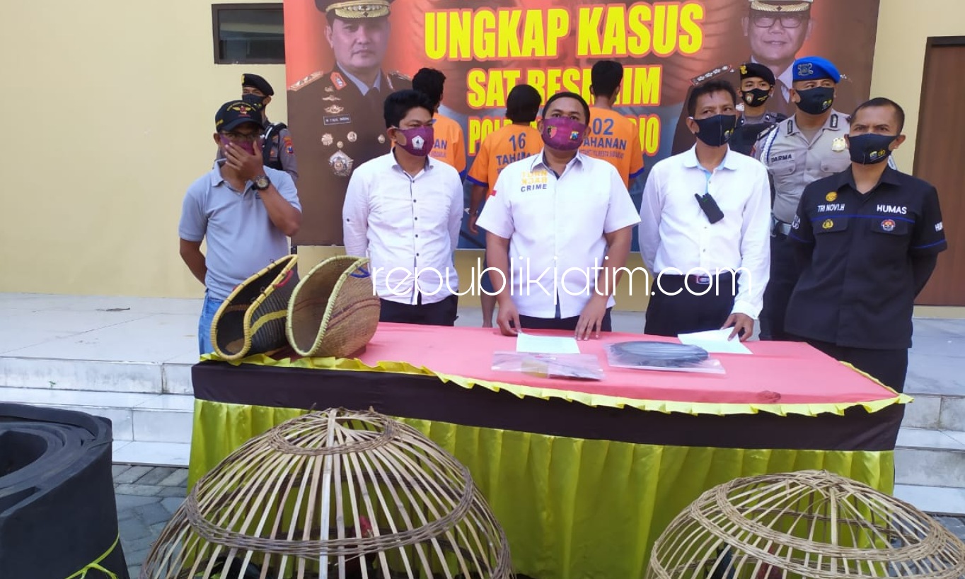 PENJUDI - Sebanyak 4 tersangka kasus perjudian sabung ayam di Dusun Wantil, Desa Wonokalang, Kecamatan Wonoayu, Sidoarjo yang digrebek petugas Satuan Reskrim, Polresta Sidoarjo, Senin (22/06/2020).